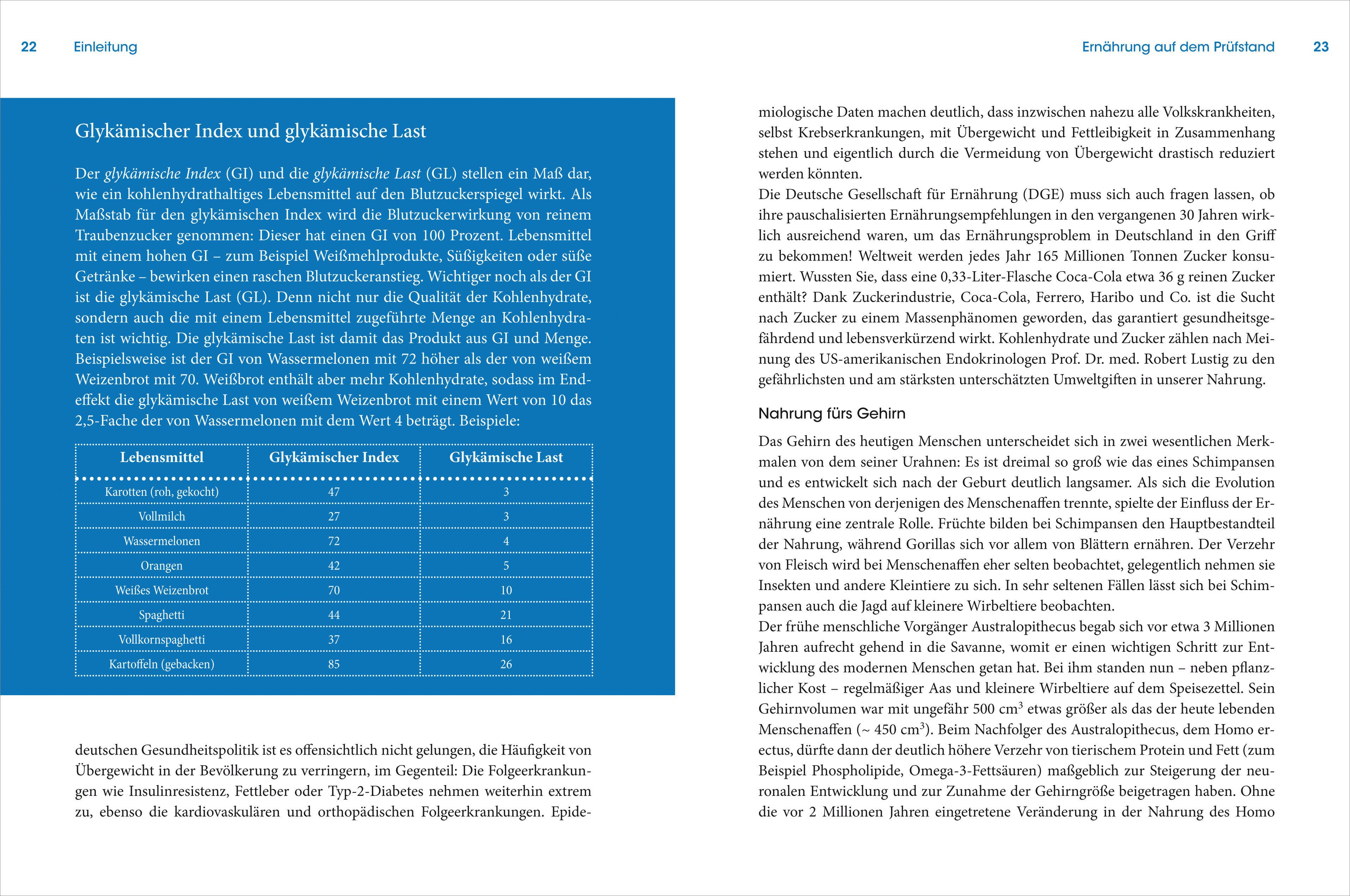 Beispielinhalt (Bild) Die wichtigsten Nahrungsergänzungsmittel