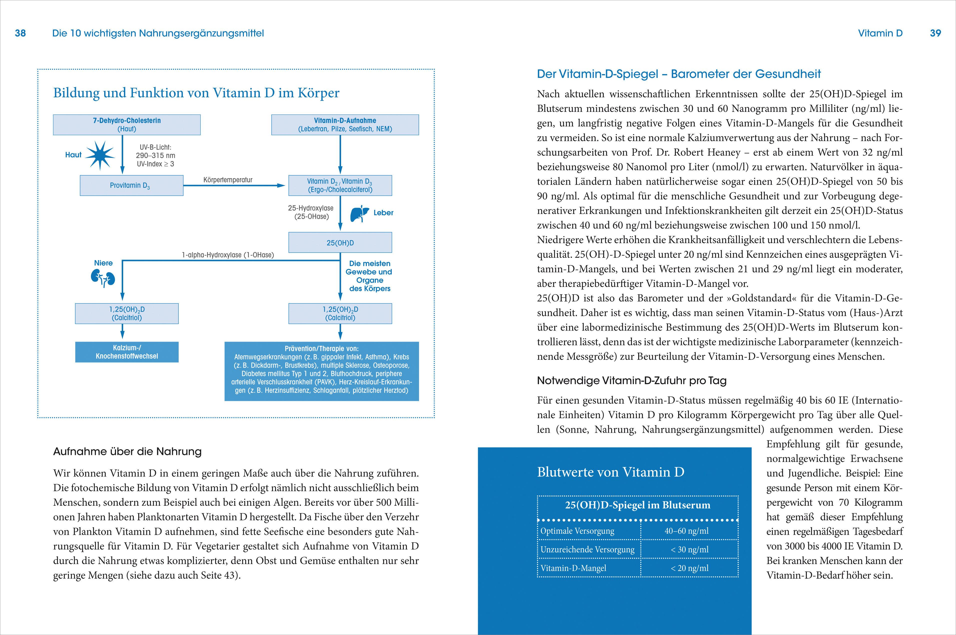 Beispielinhalt (Bild) Die wichtigsten Nahrungsergänzungsmittel