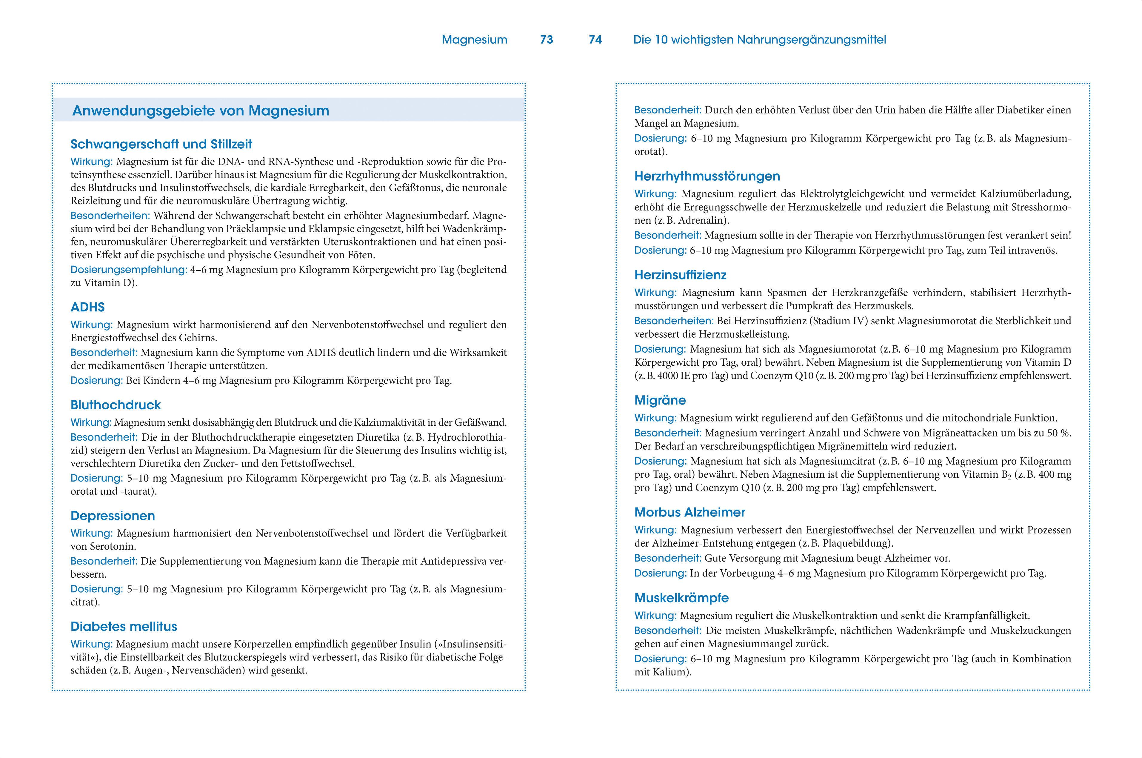 Beispielinhalt (Bild) Die wichtigsten Nahrungsergänzungsmittel