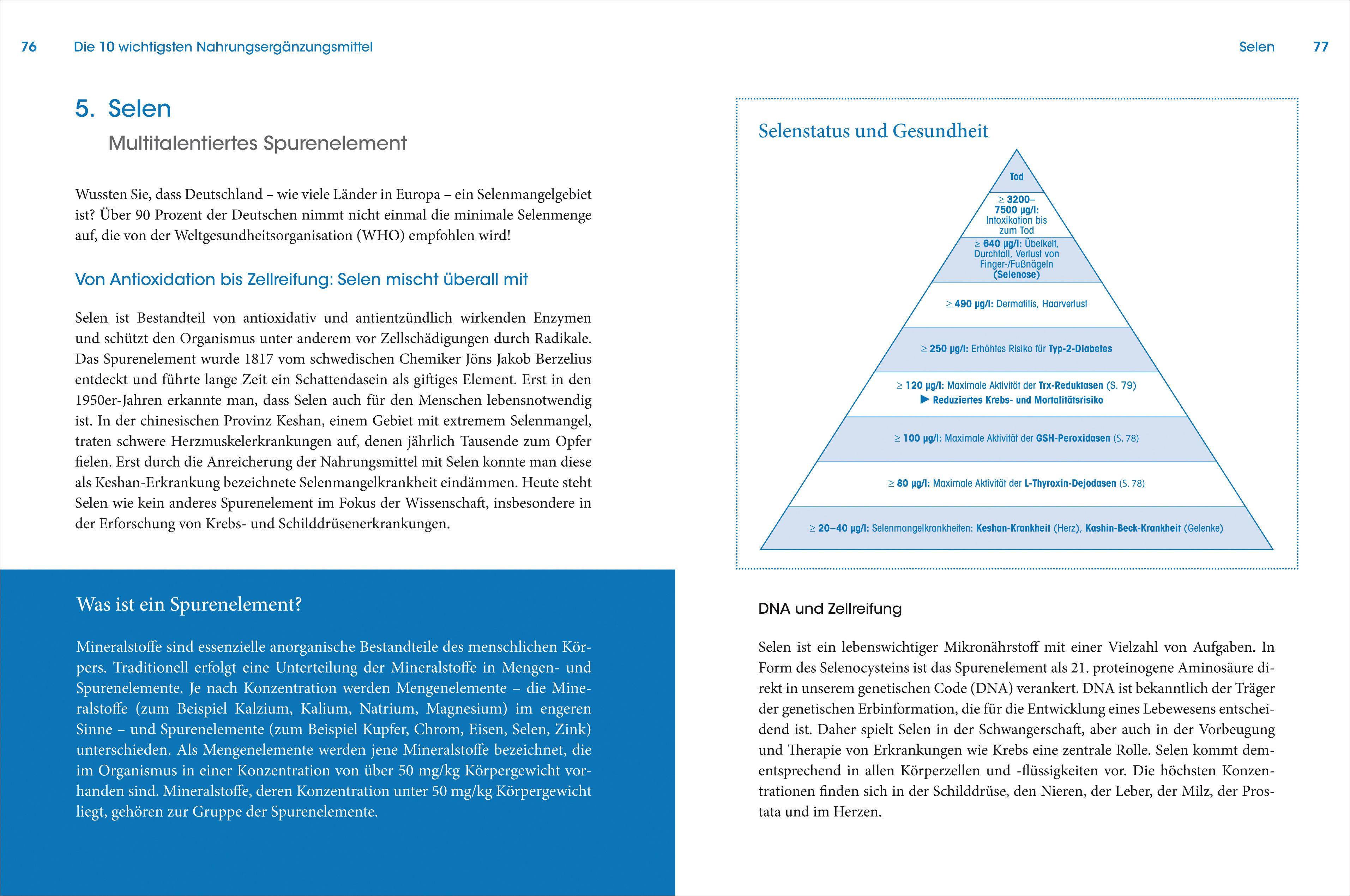 Beispielinhalt (Bild) Die wichtigsten Nahrungsergänzungsmittel