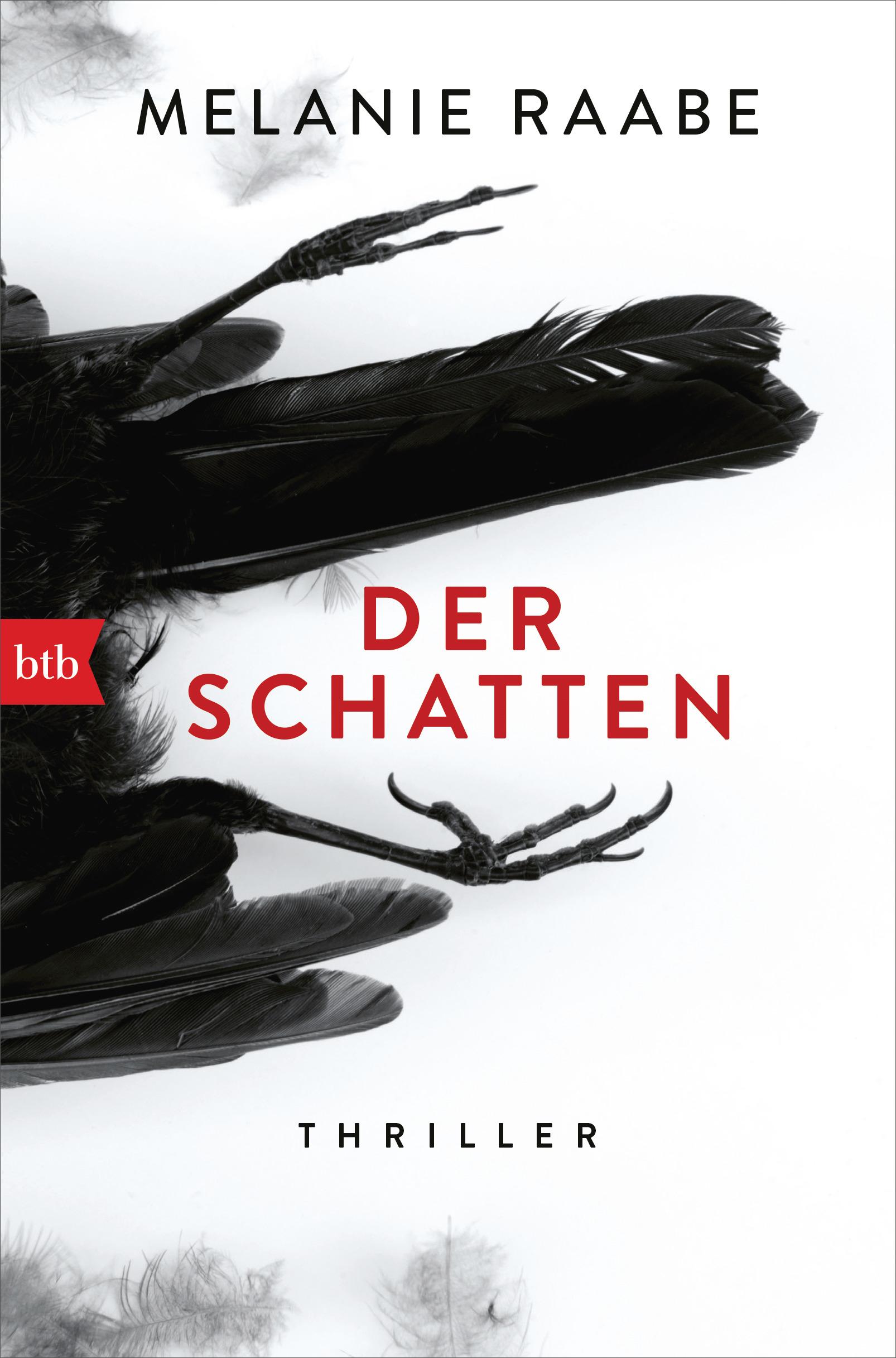 Vorderes Coverbild Der Schatten