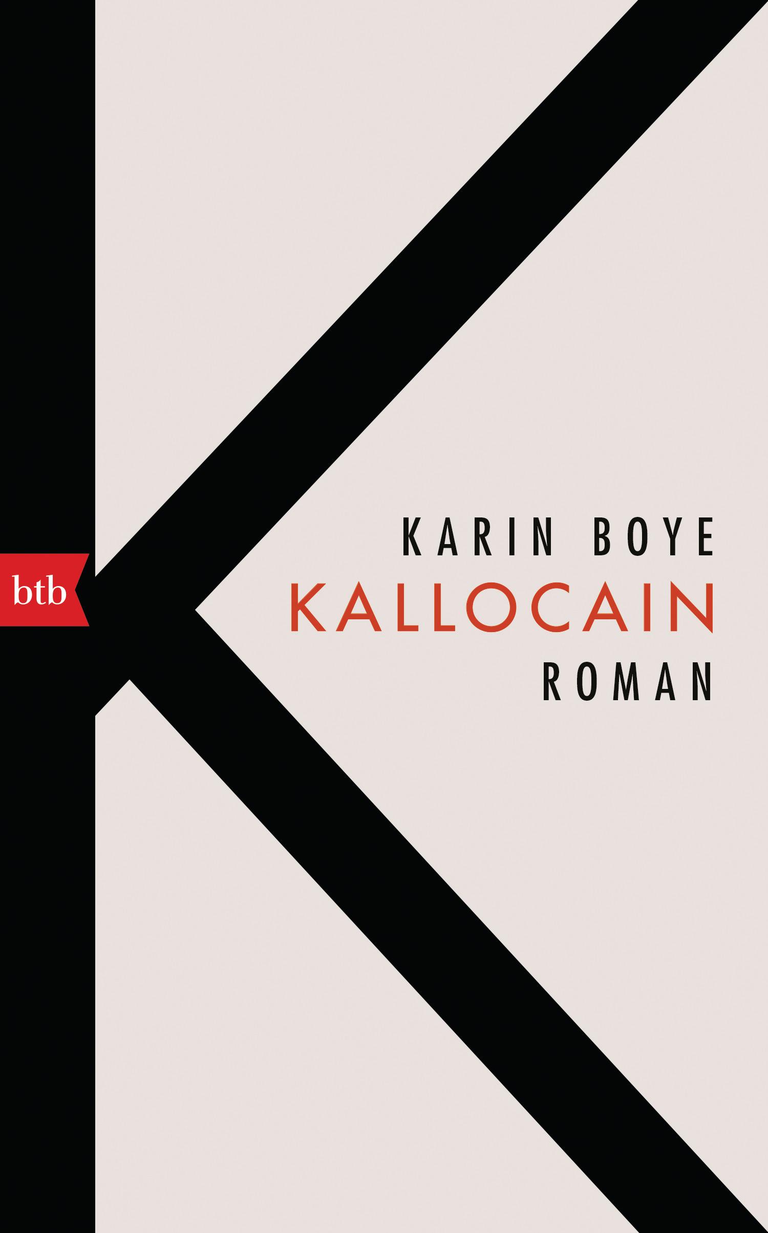 Vorderes Coverbild Kallocain