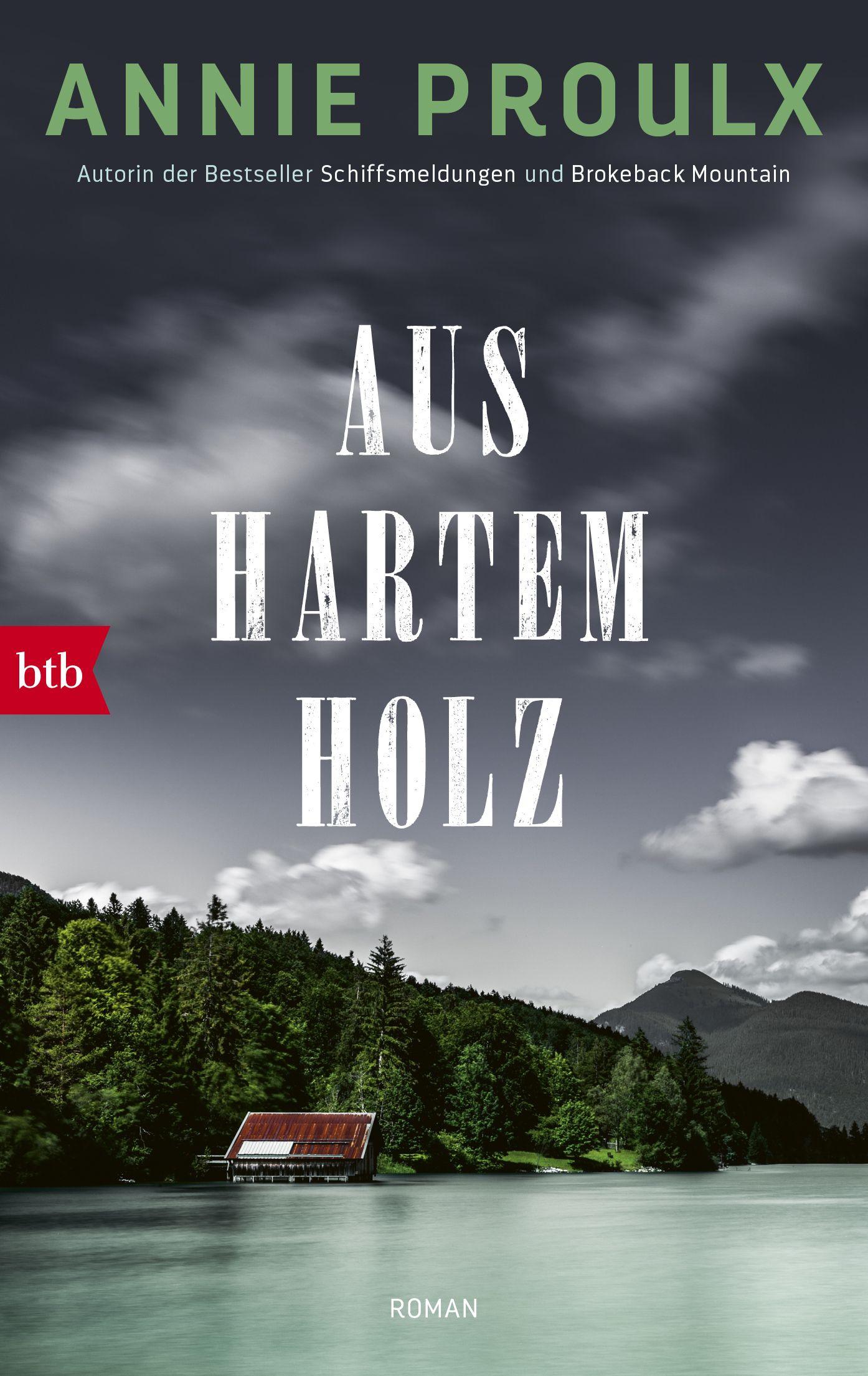 Vorderes Coverbild Aus hartem Holz