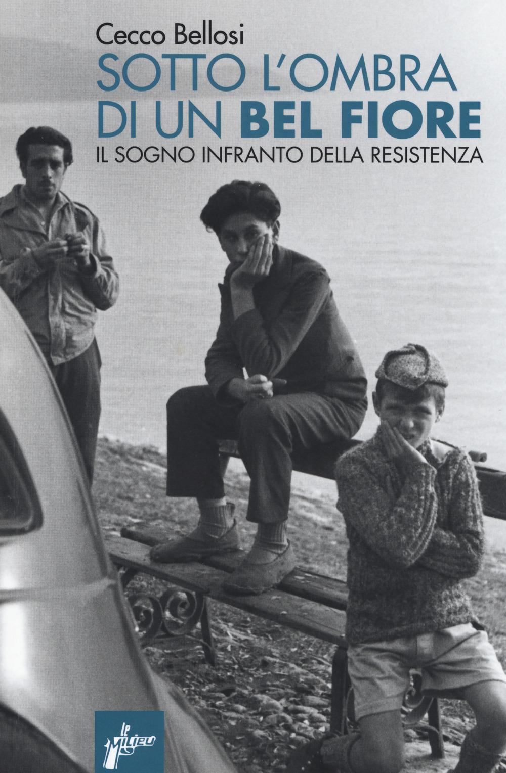 Vorderes Coverbild Sotto l'ombra di un bel fiore. Il sogno infranto della Resistenza