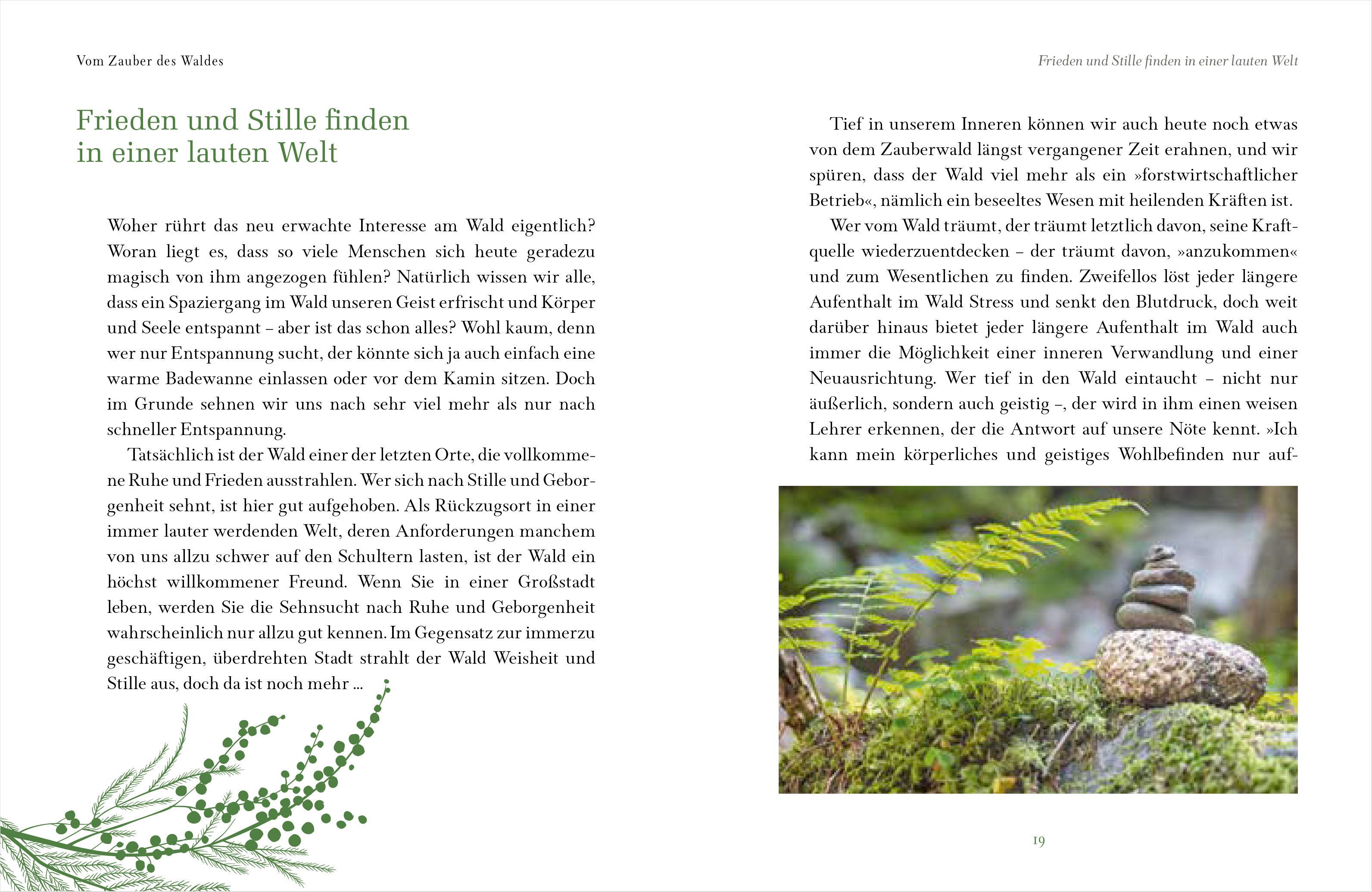 Beispielinhalt (Bild) Die Magie des Waldes