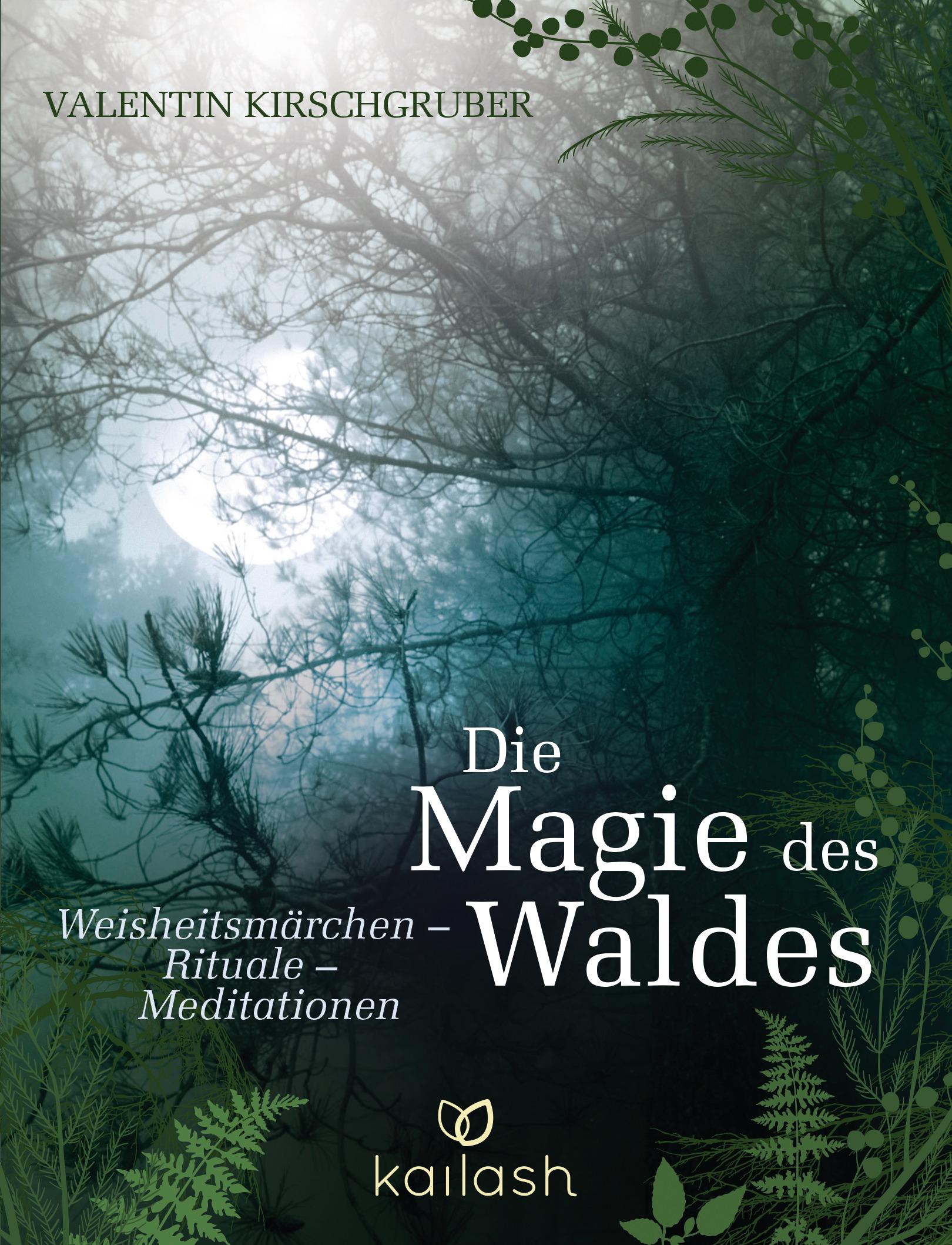 Vorderes Coverbild Die Magie des Waldes
