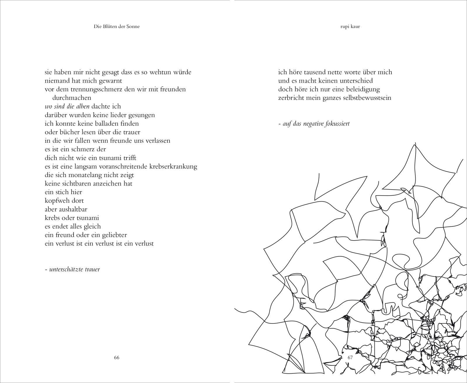 Beispielinhalt (Bild) Die Blüten der Sonne