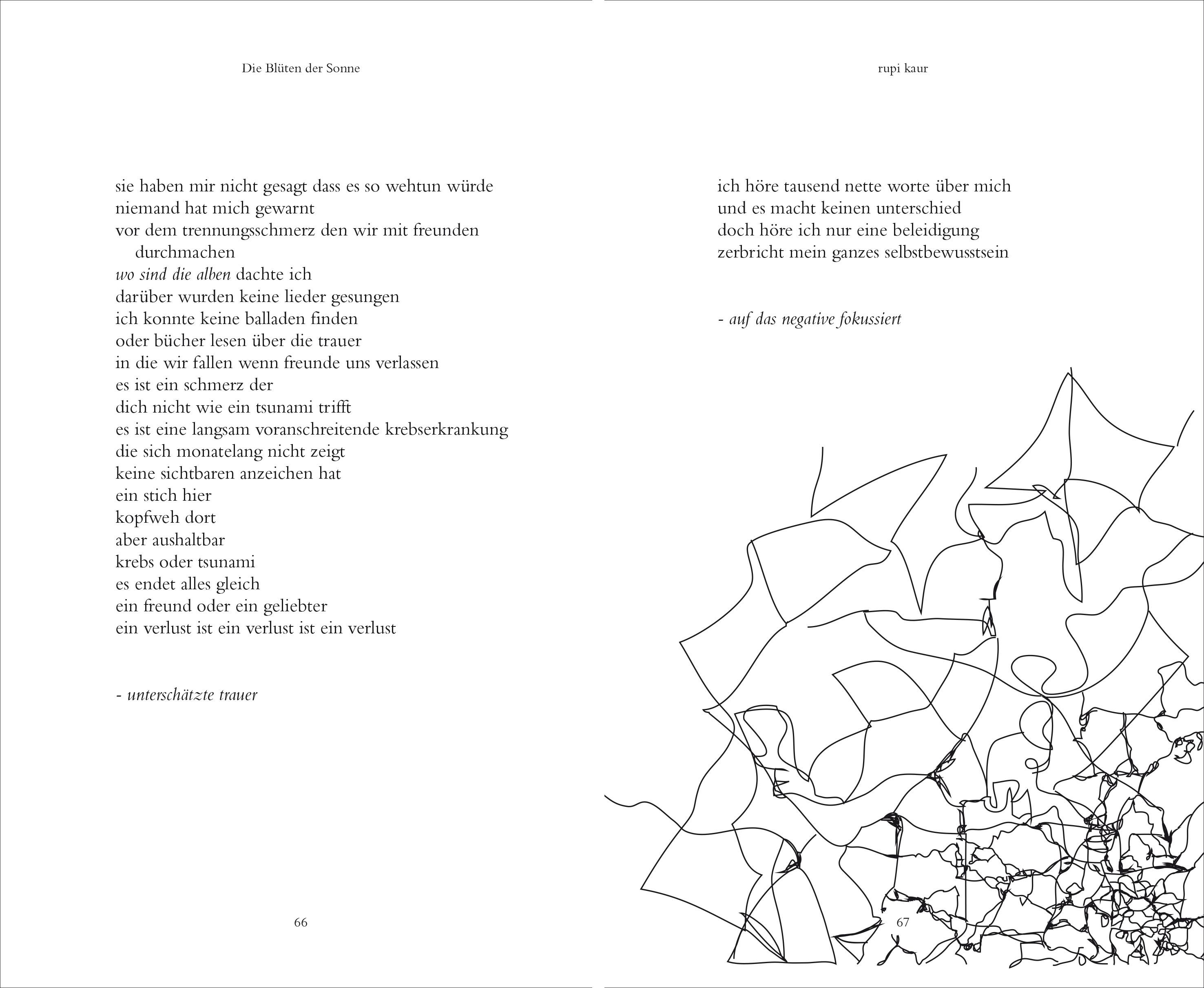 Beispielinhalt (Bild) Die Blüten der Sonne