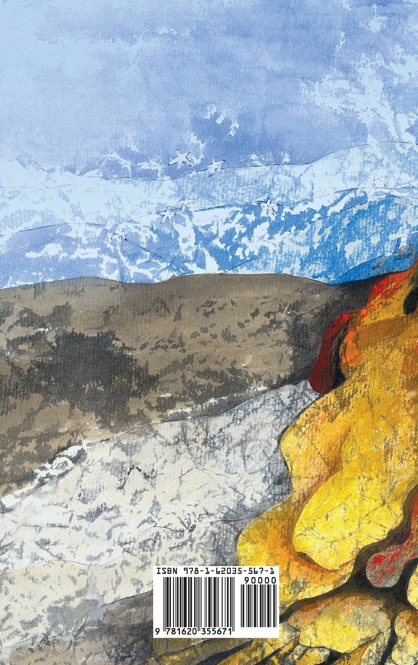 Rückseitencover The Magic Flyswatter