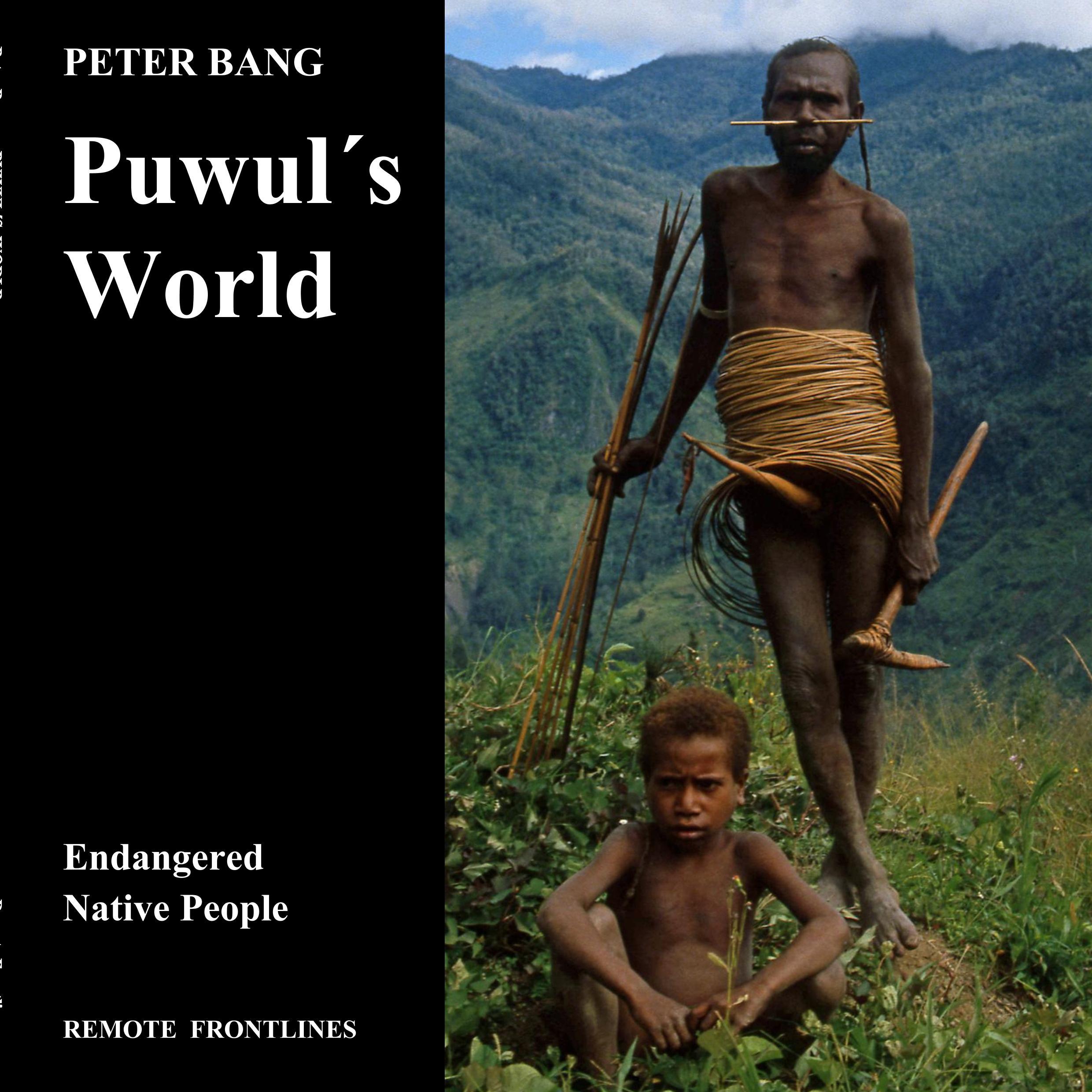 Vorderes Coverbild Puwul´s World