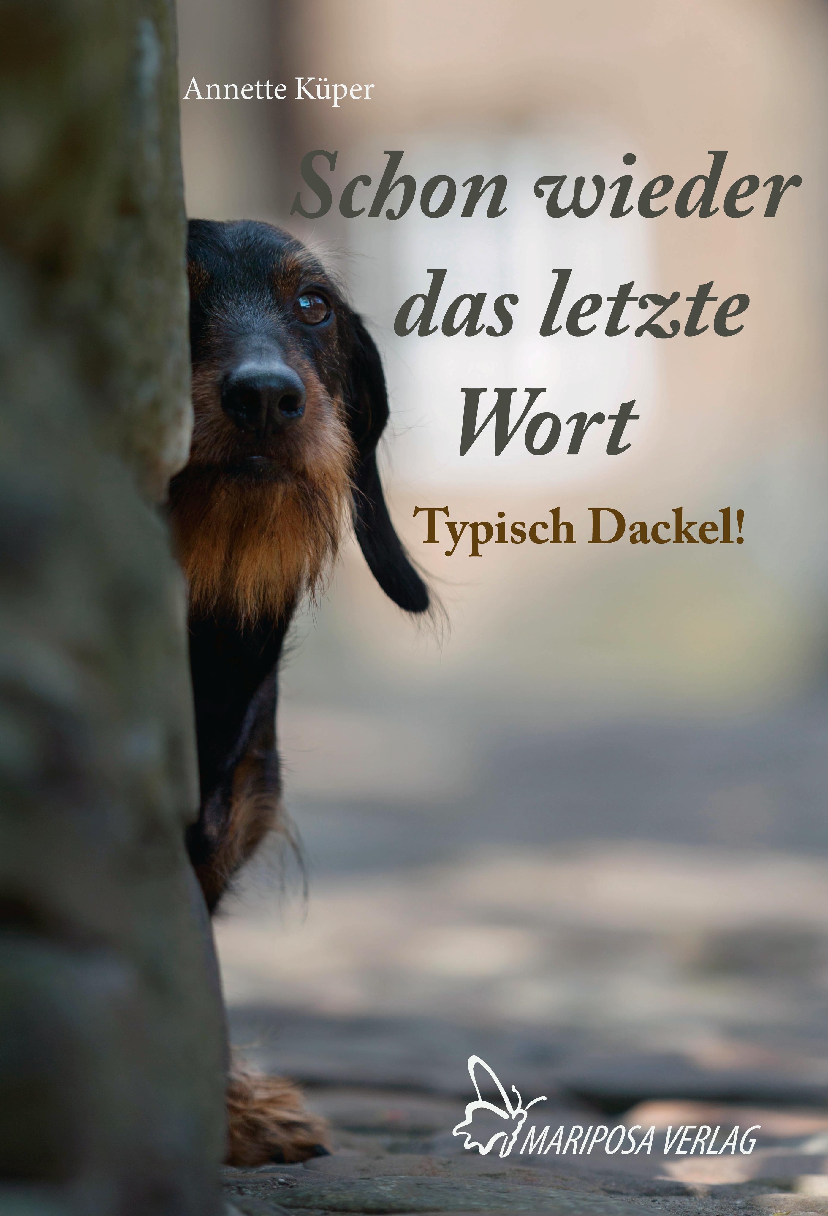 Vorderes Coverbild Schon wieder das letzte Wort