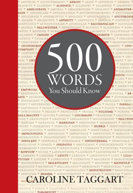 Vorderes Coverbild 500 Words You Should Know
