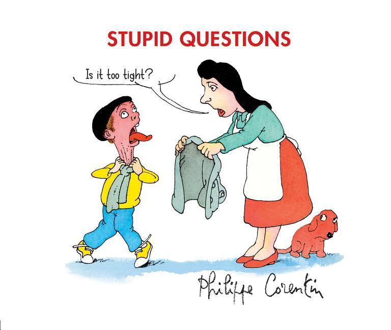 Vorderes Coverbild Stupid Questions