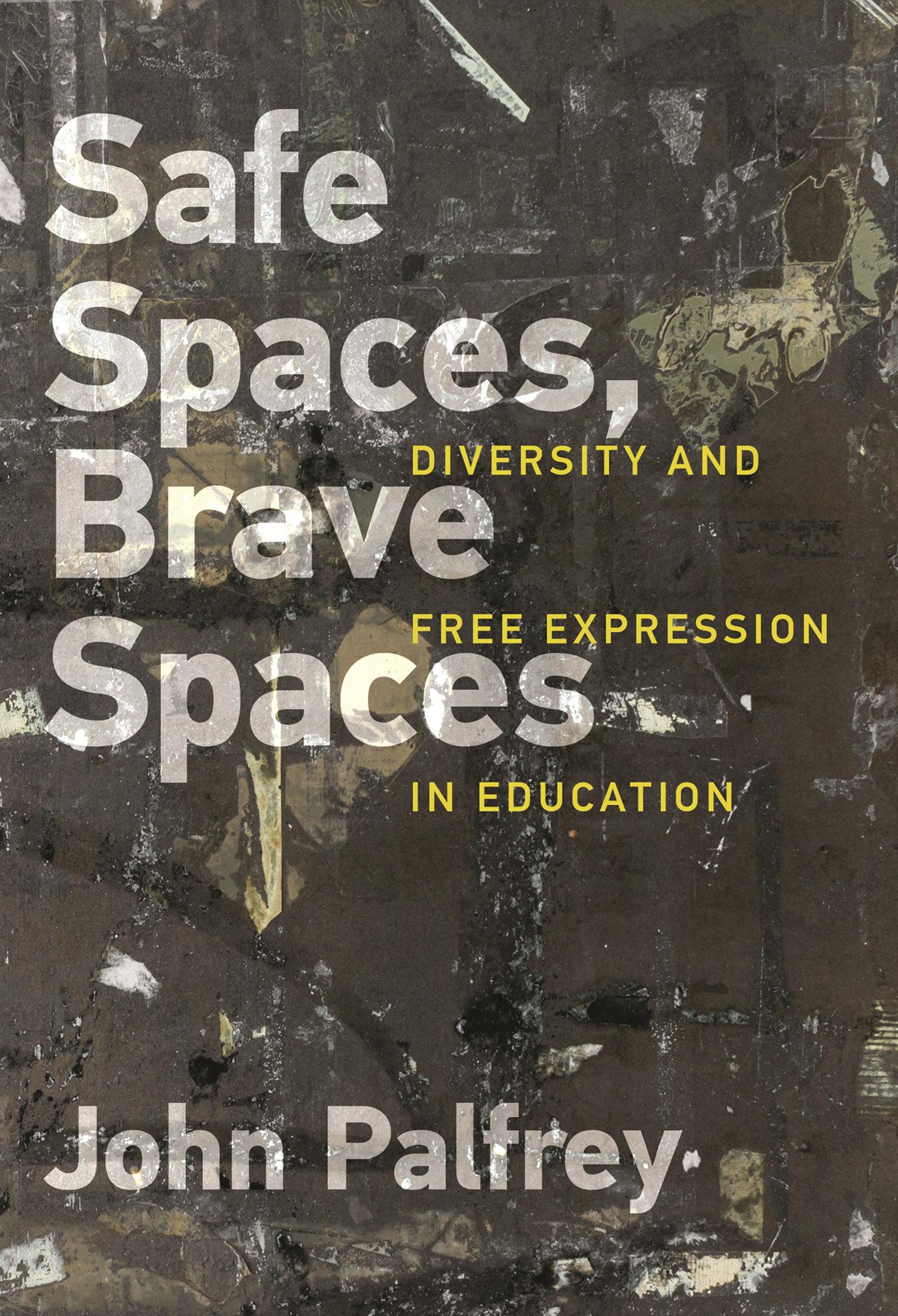 Vorderes Coverbild Safe Spaces, Brave Spaces