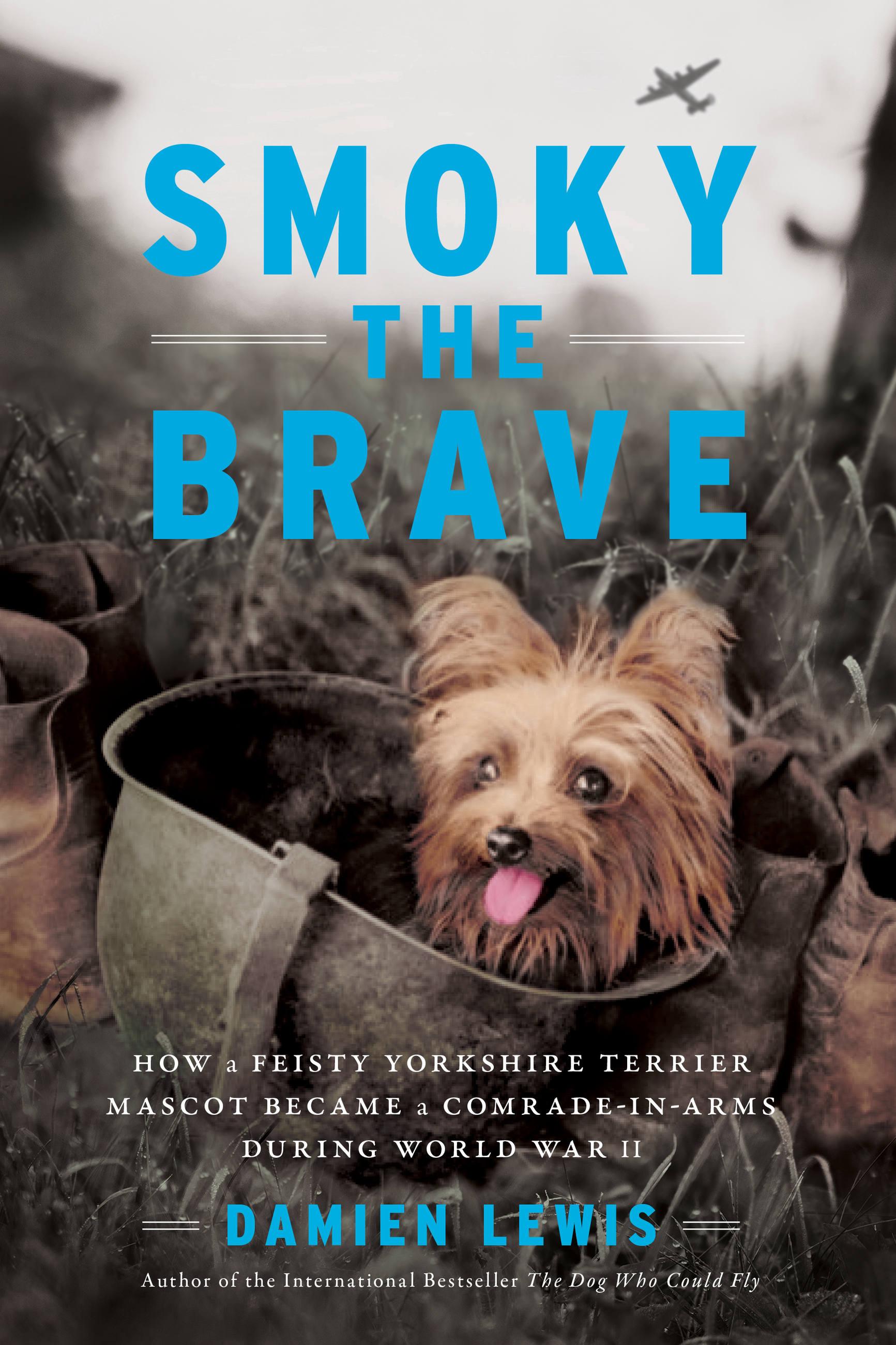 Vorderes Coverbild Smoky the Brave