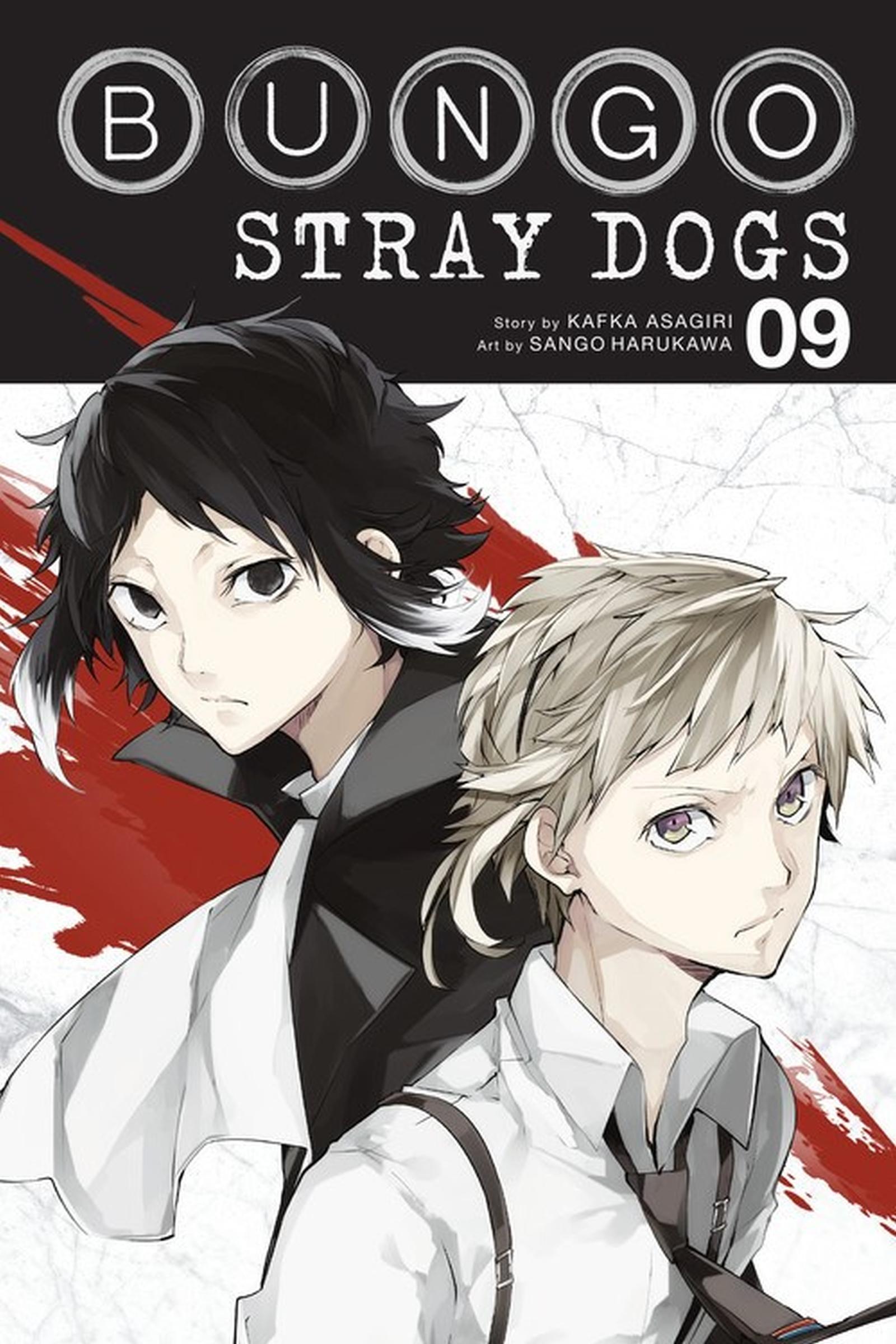 Vorderes Coverbild Bungo Stray Dogs, Vol. 9