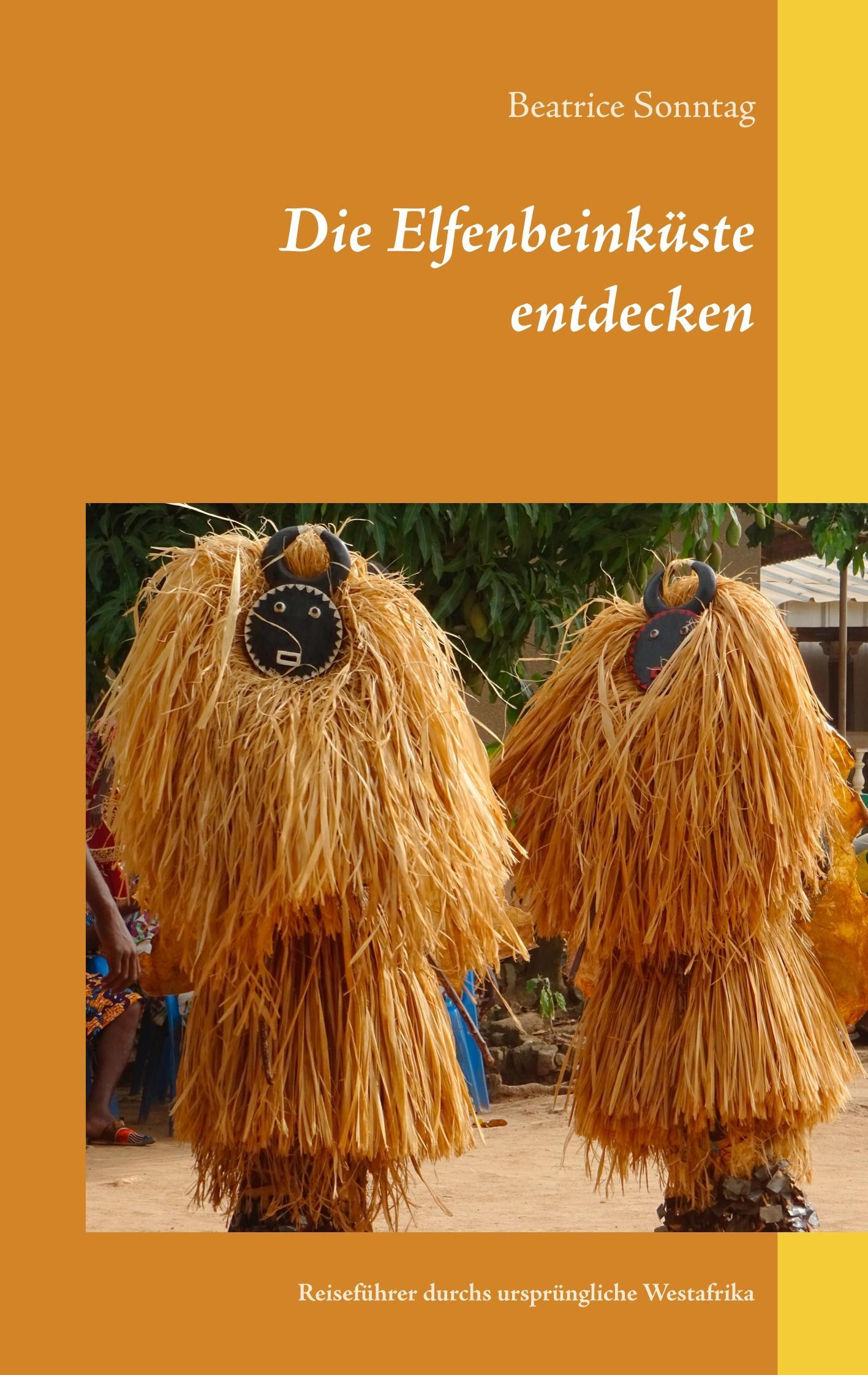 Vorderes Coverbild Die Elfenbeinküste entdecken