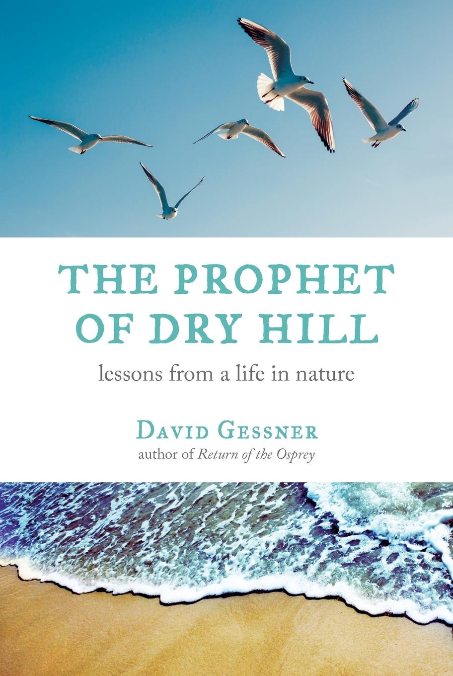 Vorderes Coverbild The Prophet of Dry Hill