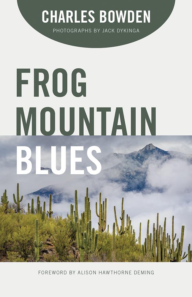 Vorderes Coverbild Frog Mountain Blues