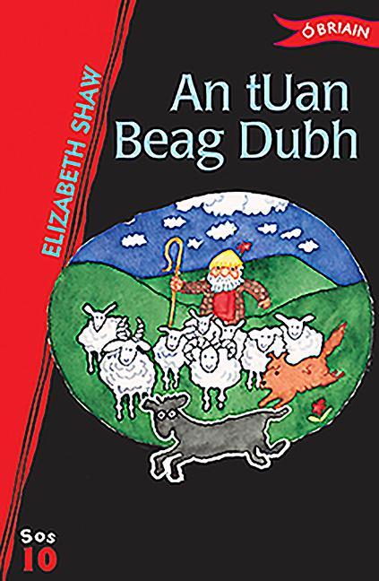 Vorderes Coverbild An Tuan Beag Dubh