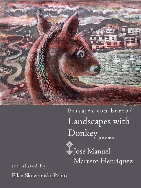 Vorderes Coverbild Landscapes with Donkey