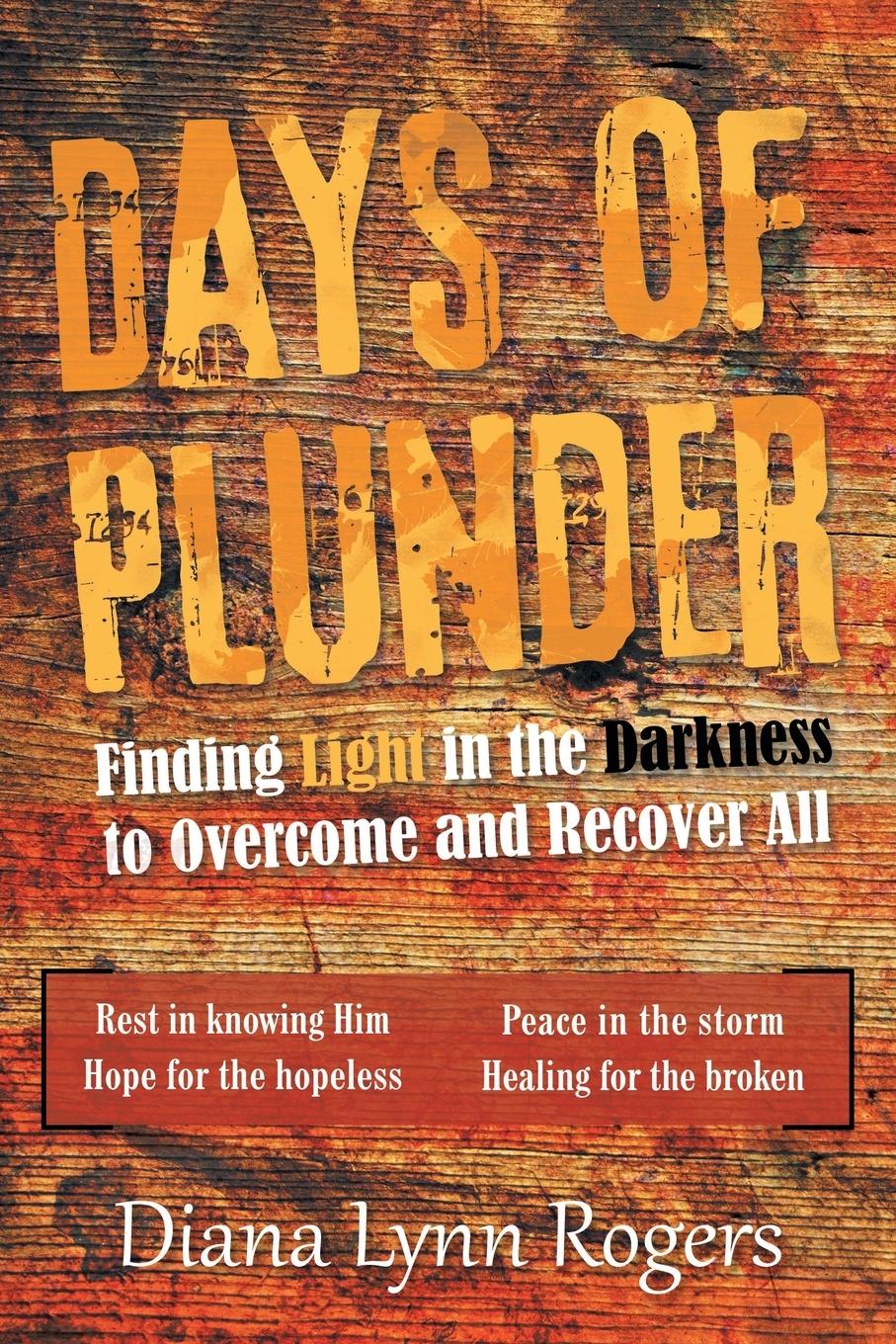 Vorderes Coverbild Days of Plunder