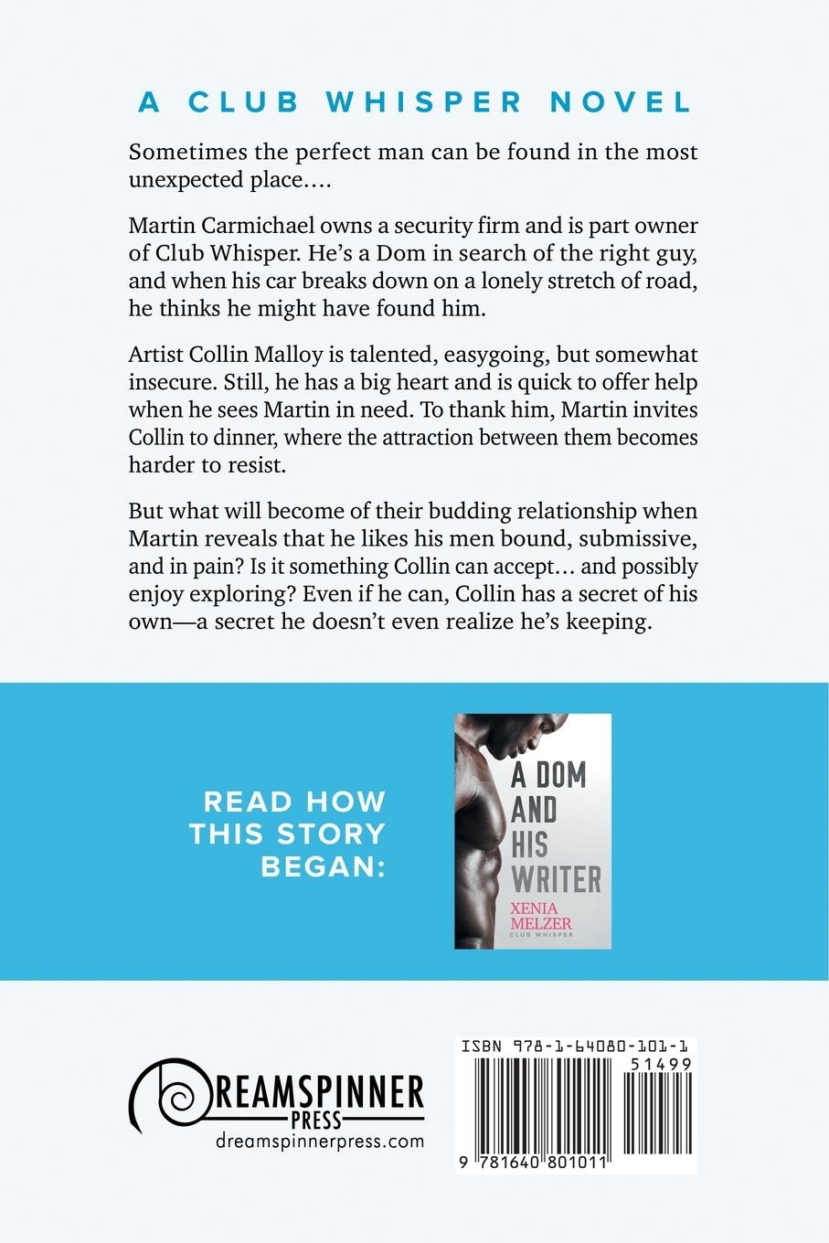 Rückseitencover A Dom and His Artist