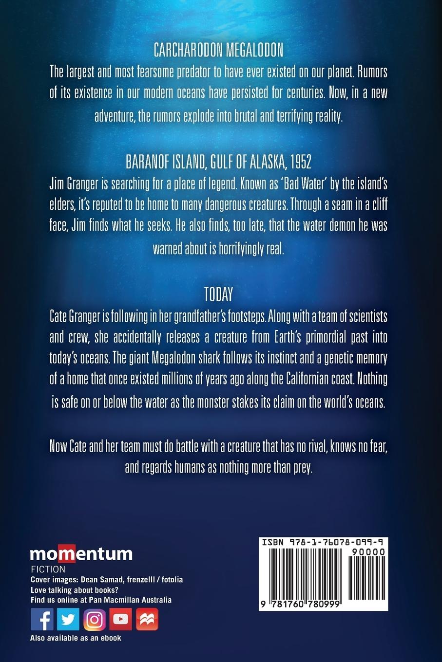 Rückseitencover Fathomless