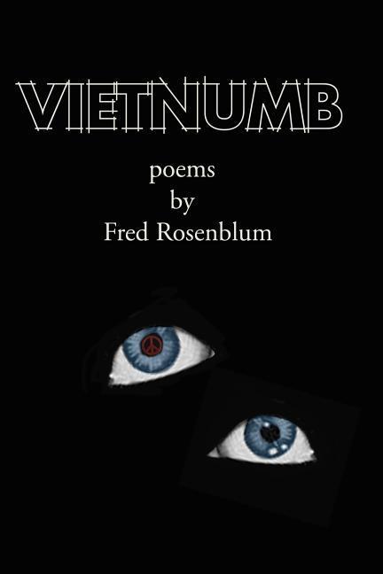 Vorderes Coverbild Vietnumb