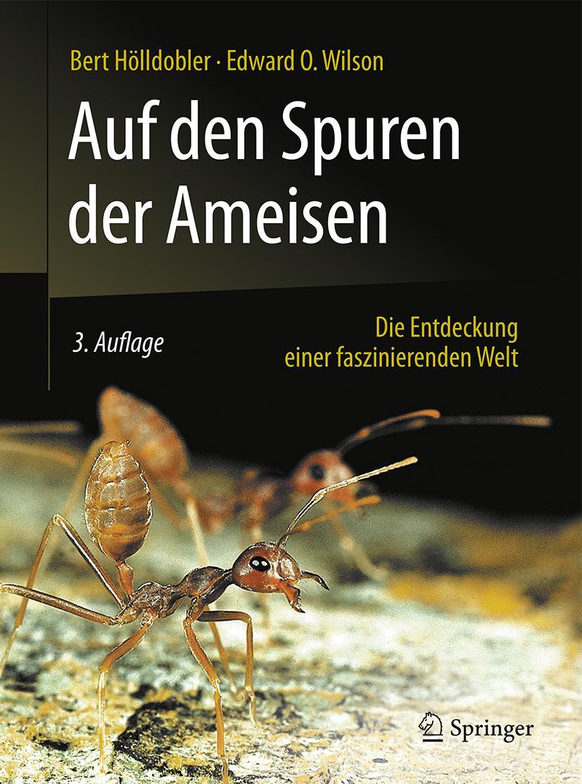 Vorderes Coverbild Auf den Spuren der Ameisen