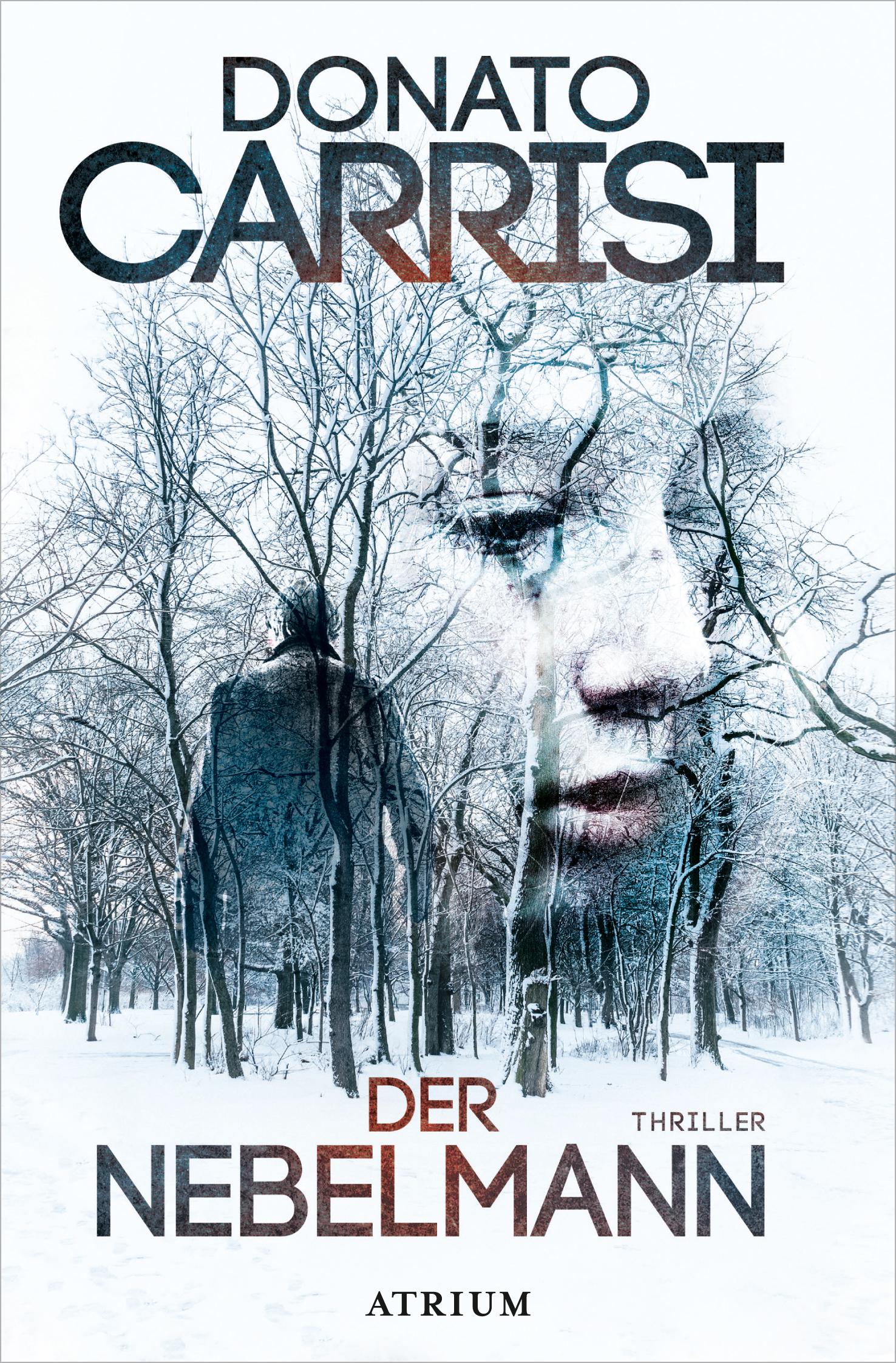 Vorderes Coverbild Der Nebelmann