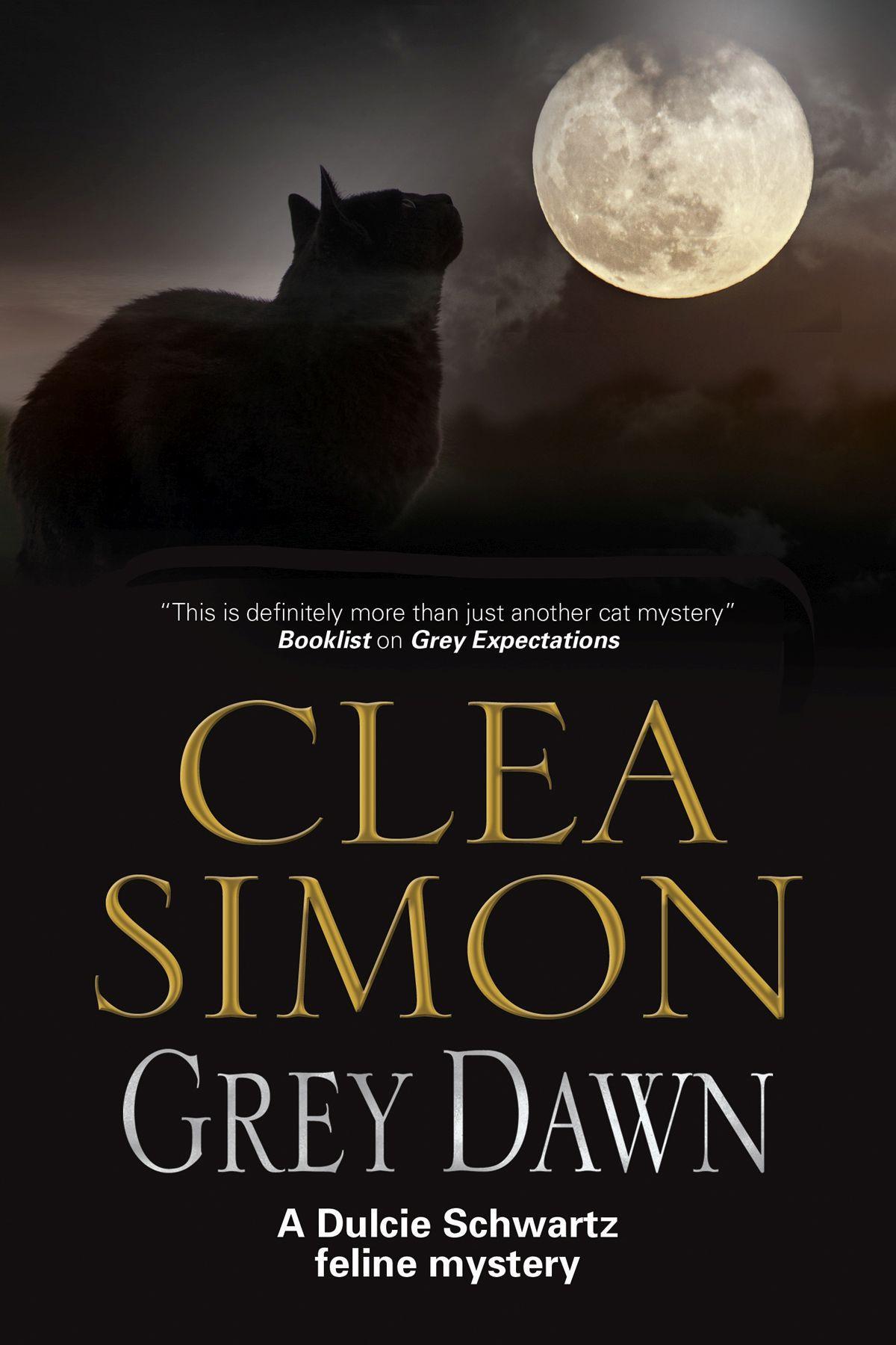 Vorderes Coverbild Grey Dawn