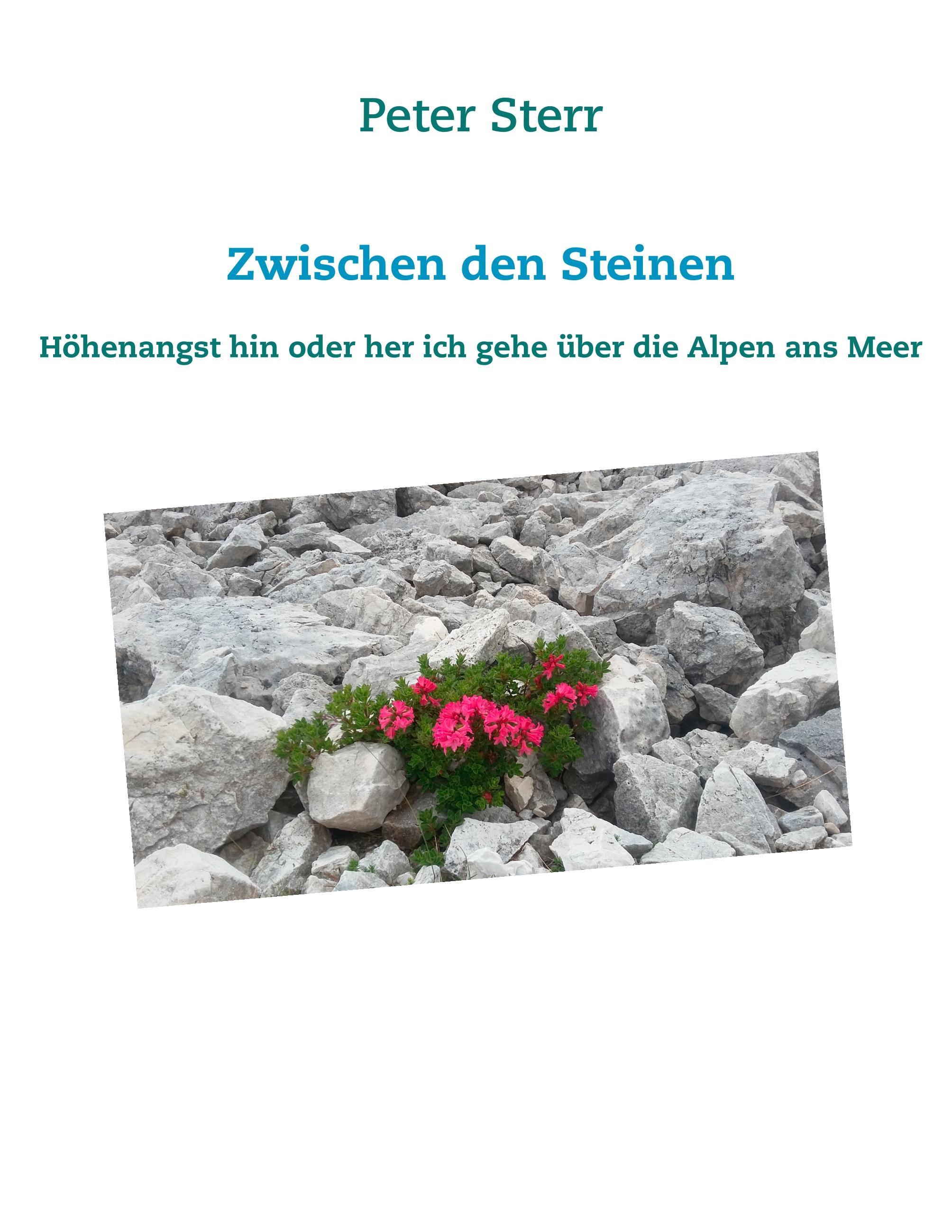 Vorderes Coverbild Zwischen den Steinen