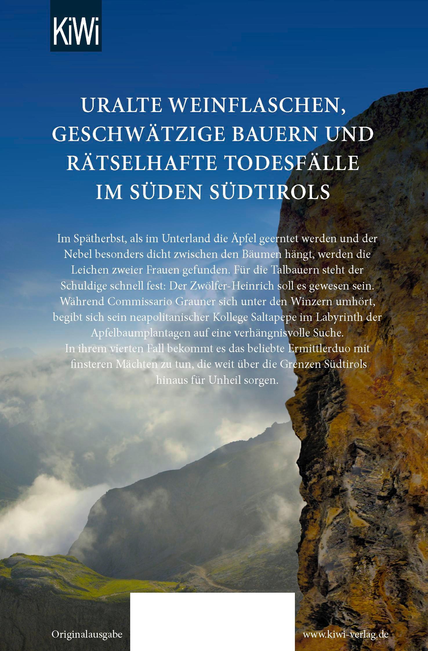 Rückseitencover Das Tal im Nebel