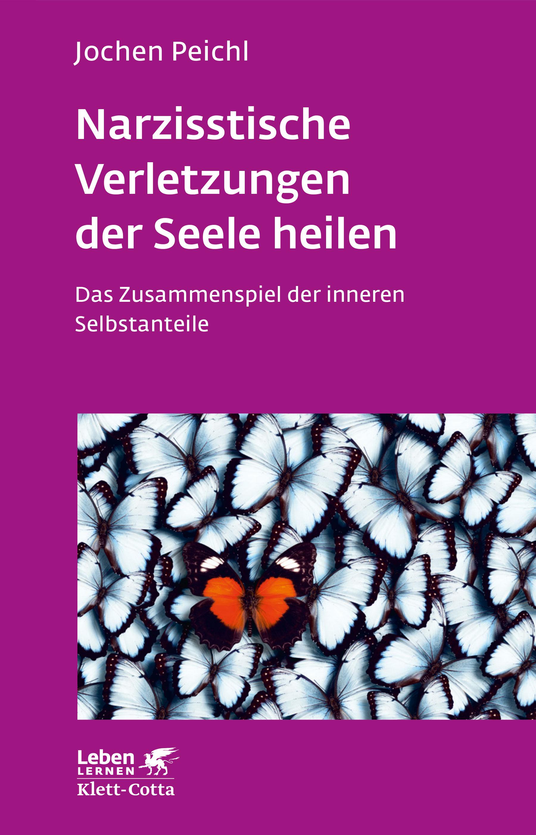 Vorderes Coverbild Narzisstische Verletzungen der Seele heilen