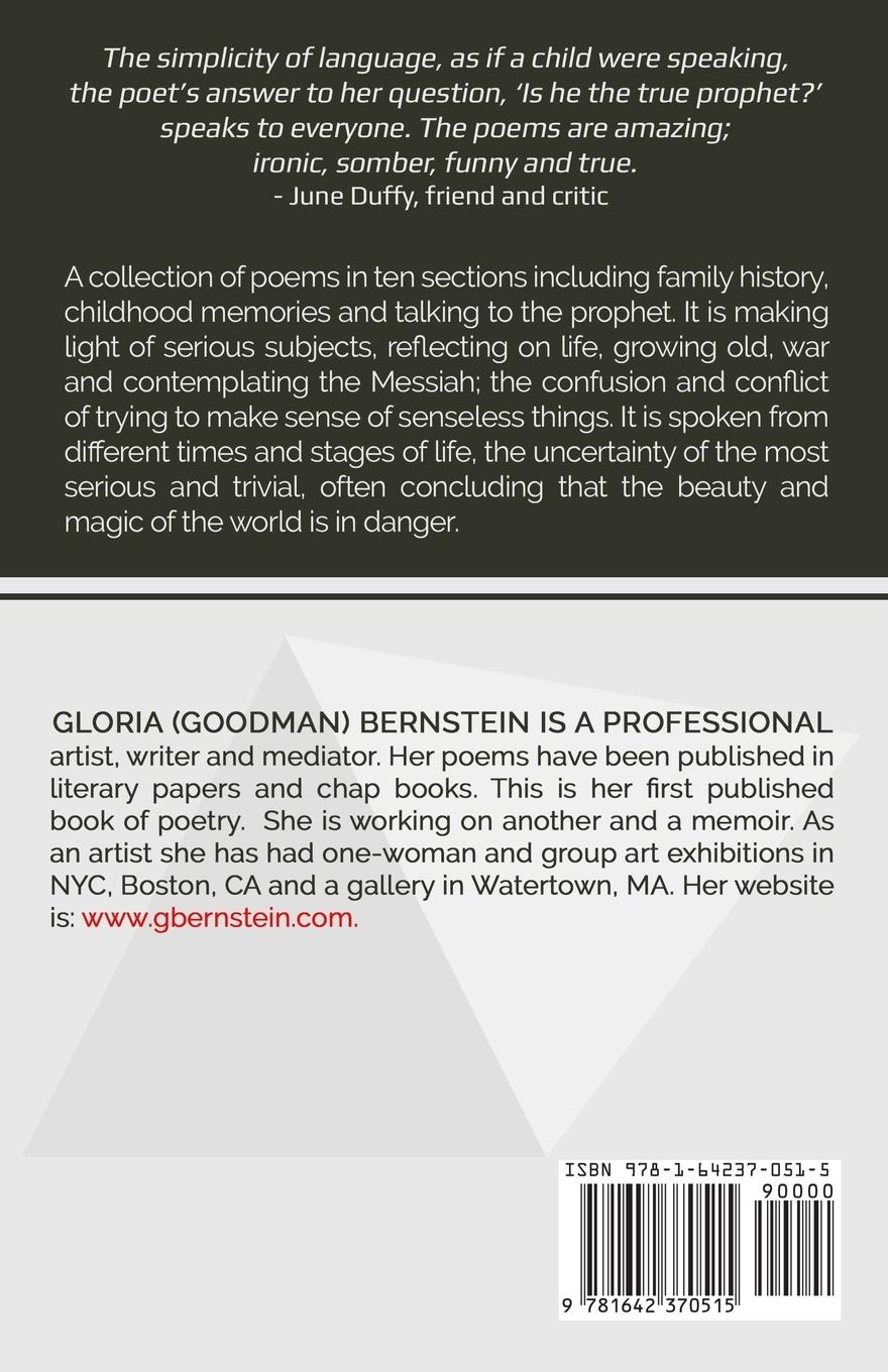 Rückseitencover Profound Nonsense