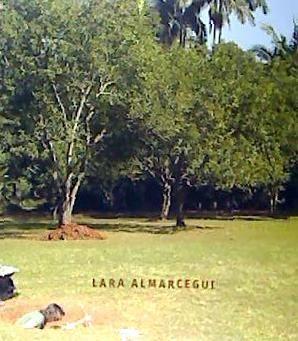 Vorderes Coverbild Lara Almarcegui