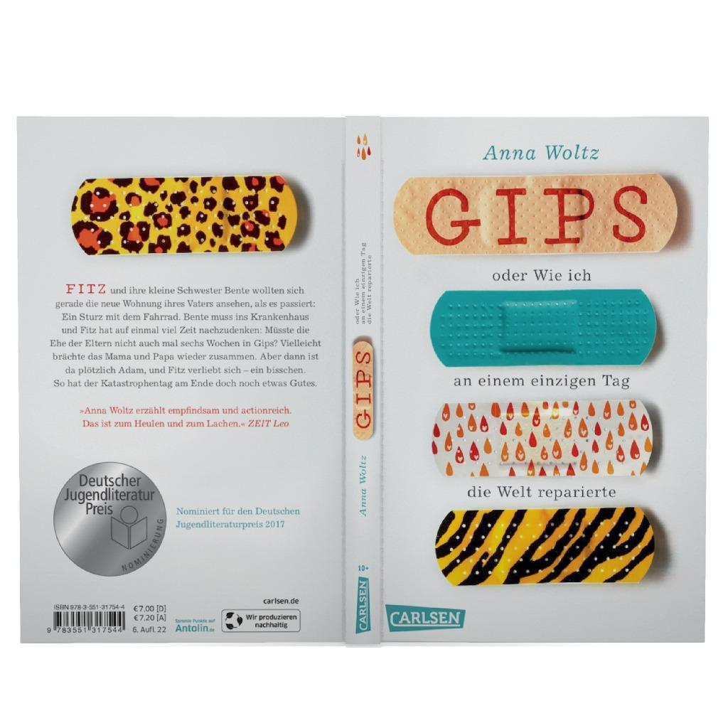 Beispielinhalt (Bild) Gips oder Wie ich an einem einzigen Tag die Welt reparierte