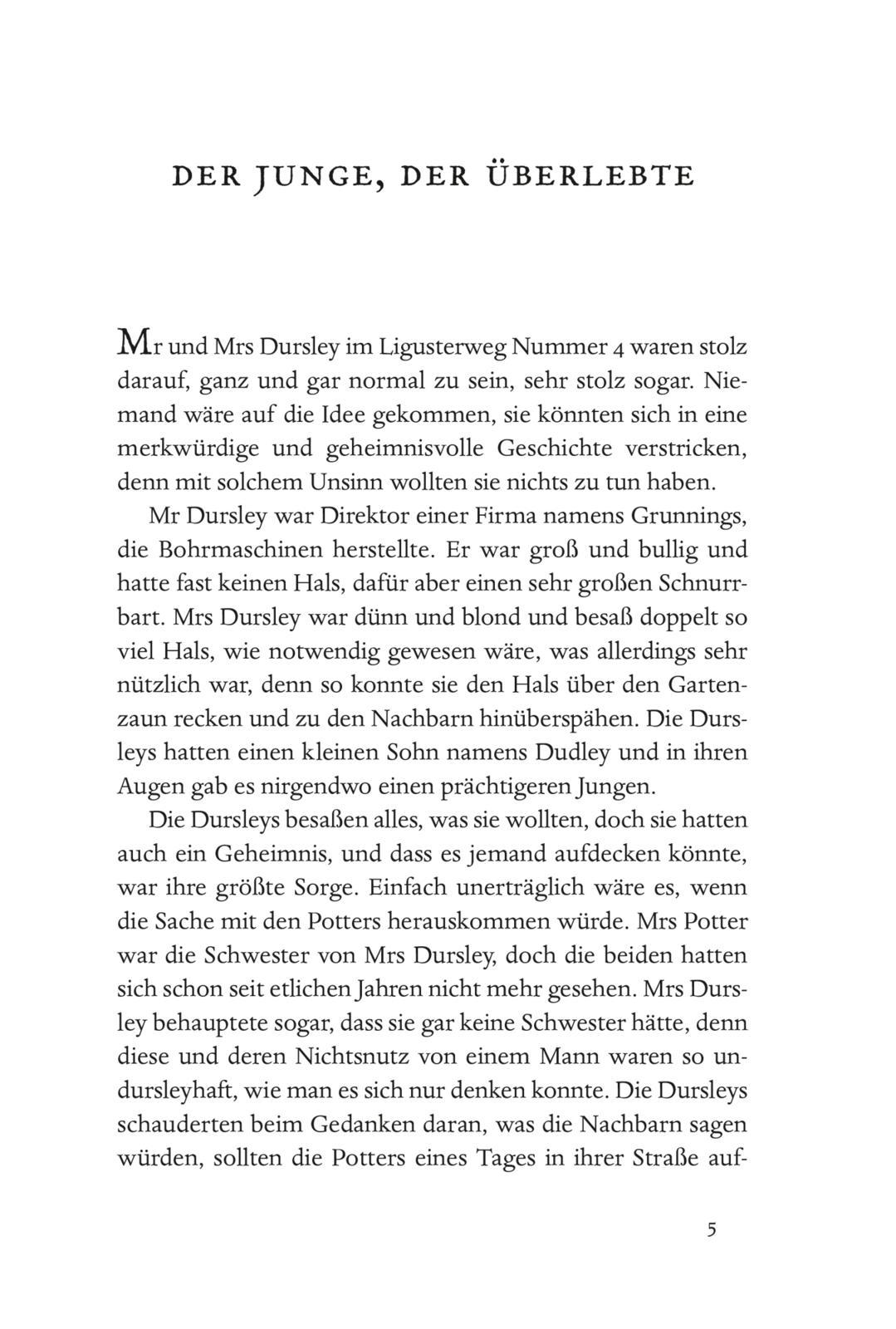 Beispielinhalt (Bild) Harry Potter 1 und der Stein der Weisen