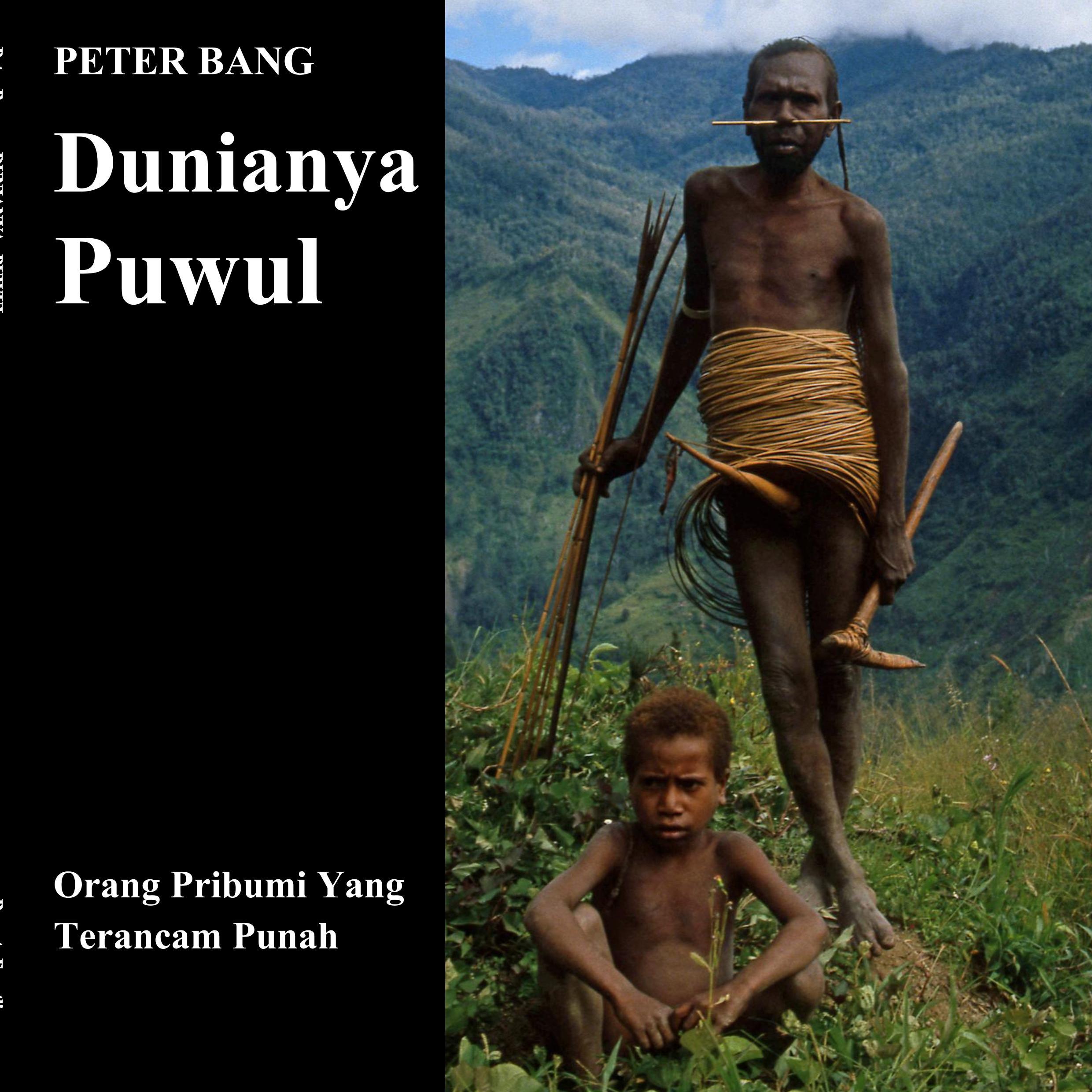 Vorderes Coverbild Dunianya Puwul