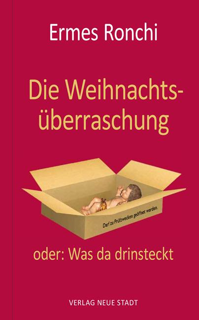 Vorderes Coverbild Die Weihnachtsüberraschung