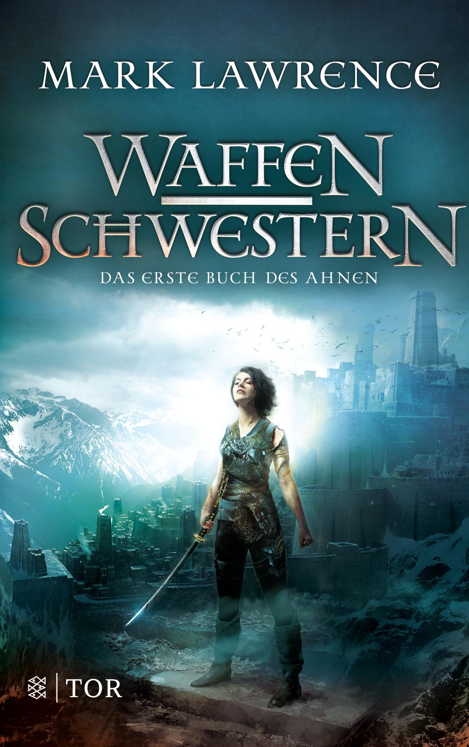 Vorderes Coverbild Waffenschwestern