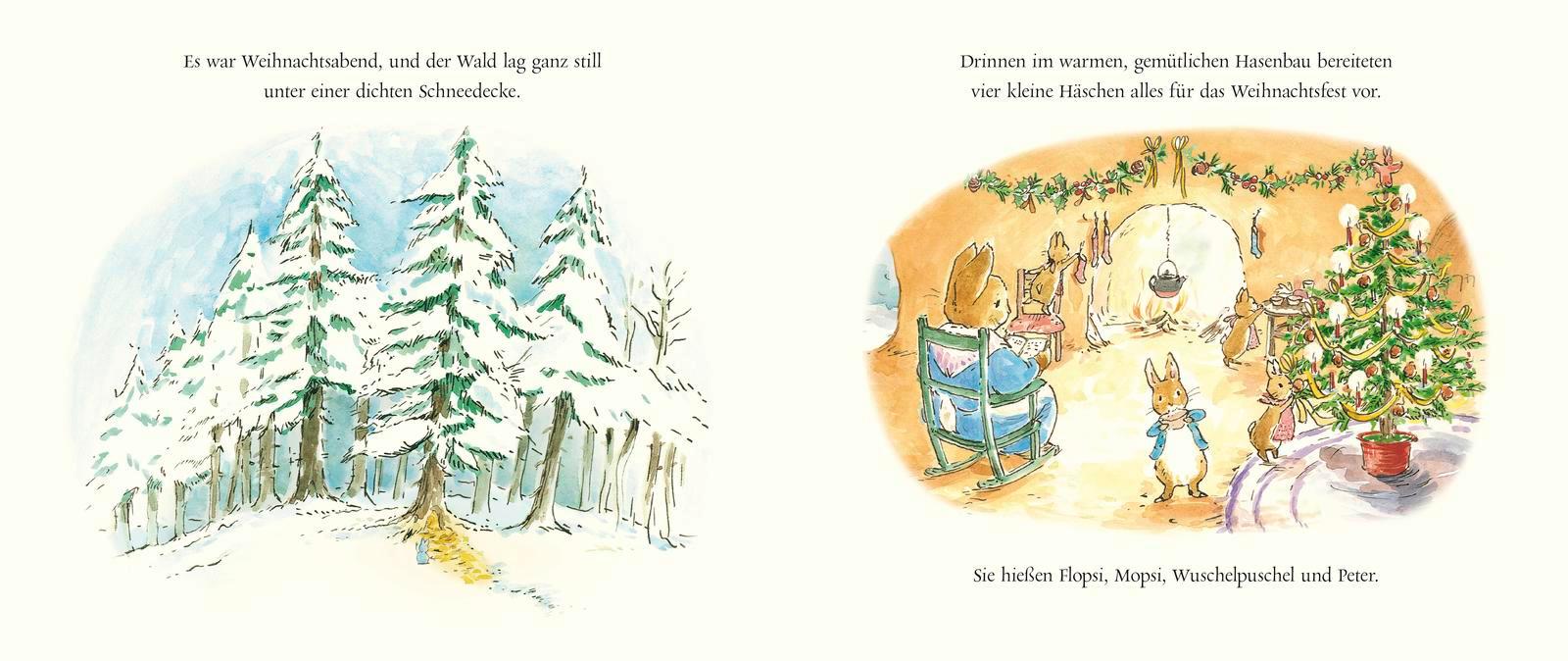 Beispielinhalt (Bild) Peter Hase Der Weihnachtswunsch