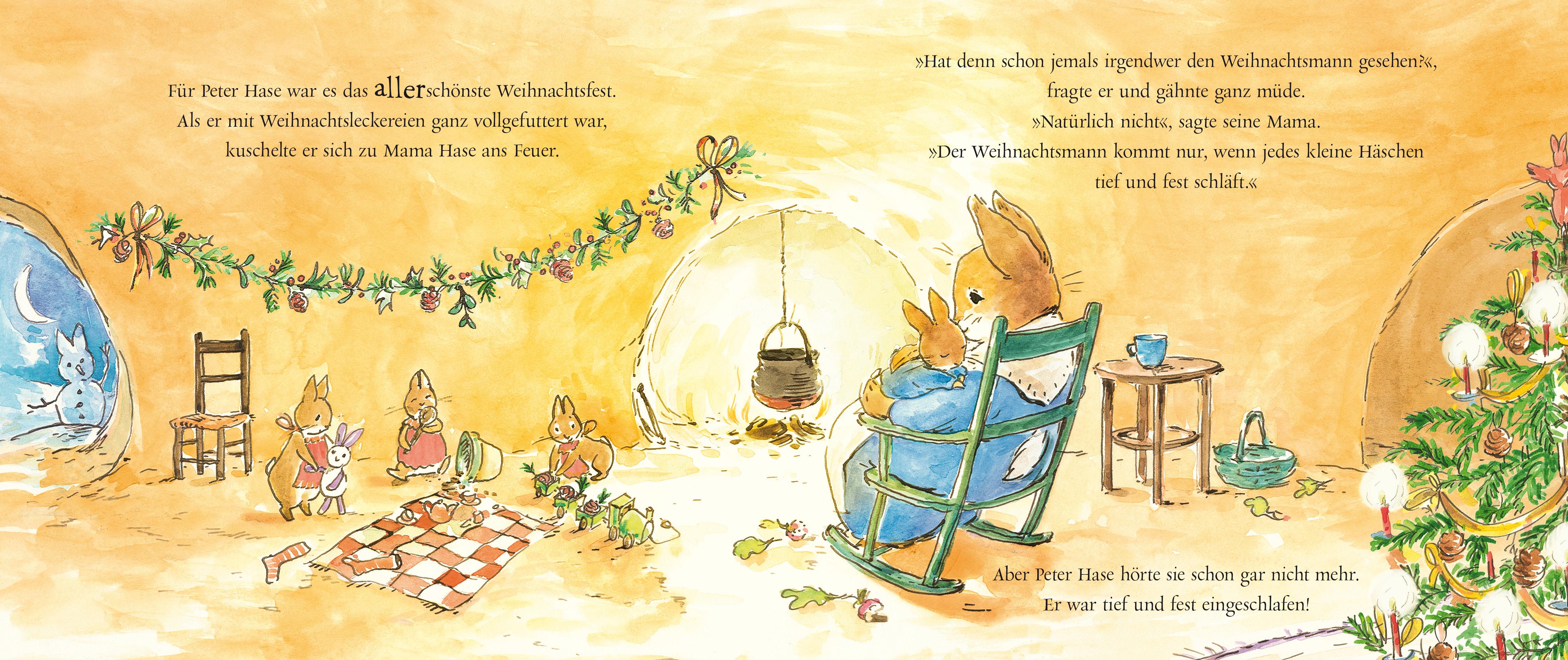 Beispielinhalt (Bild) Peter Hase Der Weihnachtswunsch