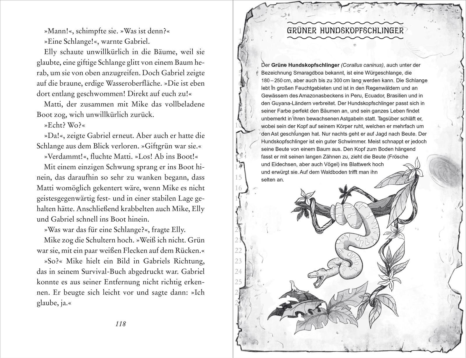 Beispielinhalt (Bild) Survival - Im Auge des Alligators