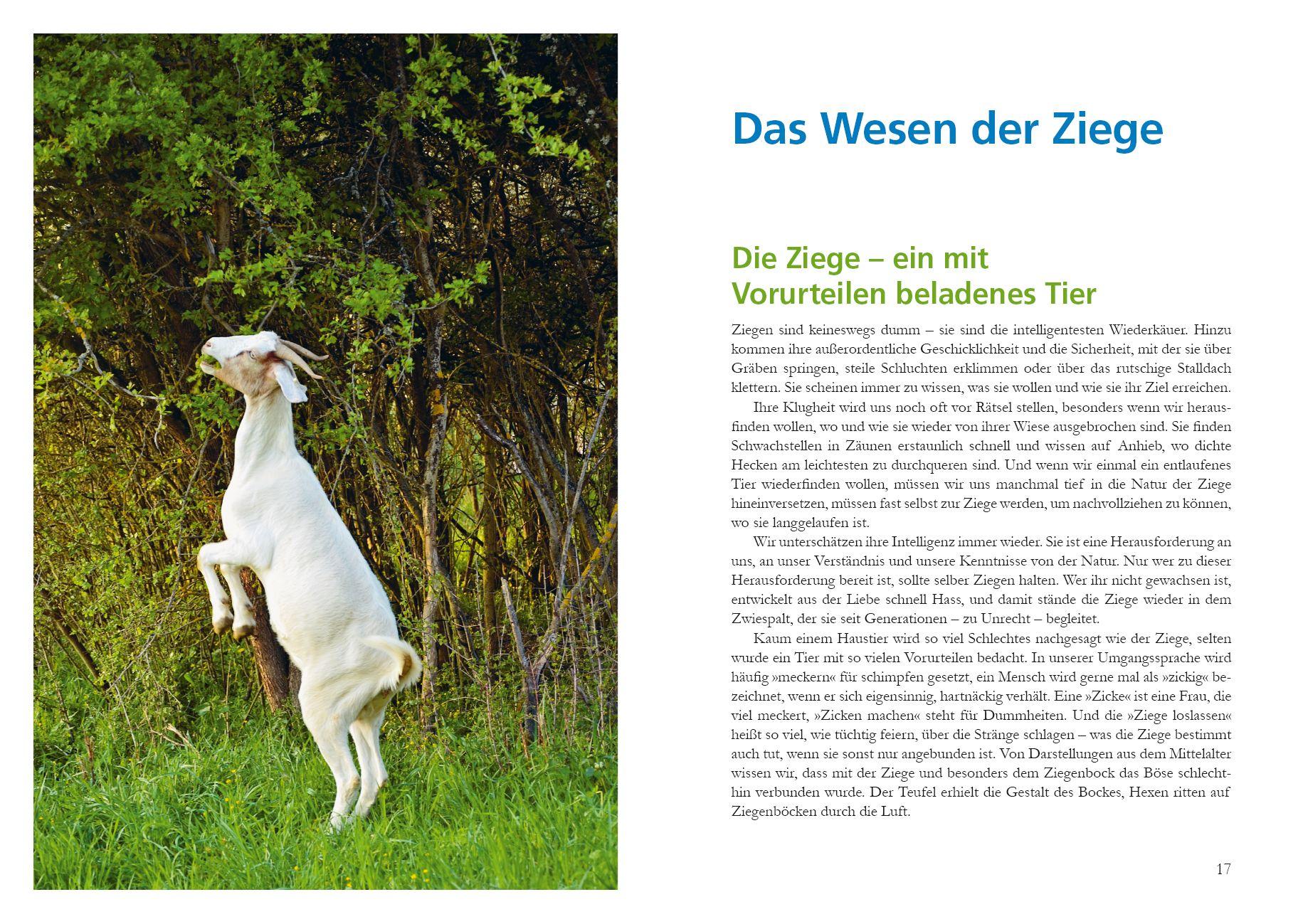 Beispielinhalt (Bild) Alles für die Ziege