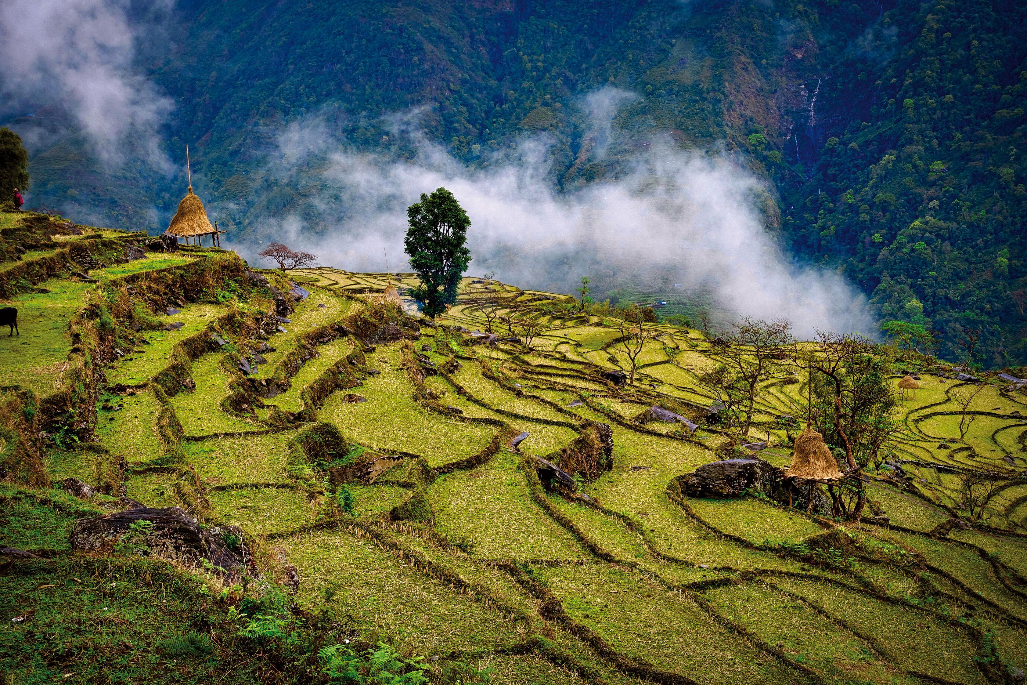 Beispielinhalt (Bild) The Great Himalaya Trail