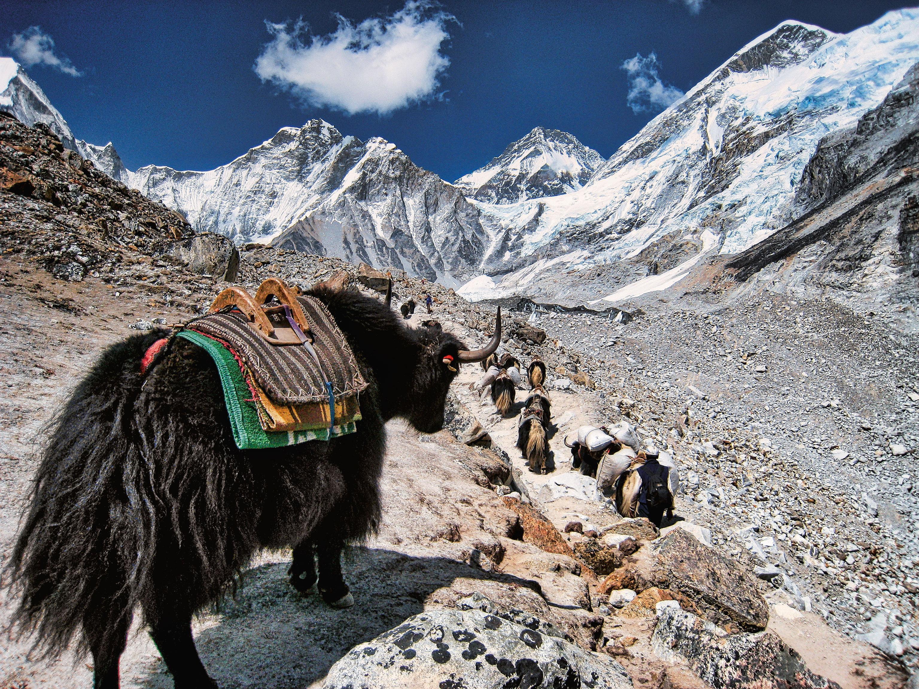 Beispielinhalt (Bild) The Great Himalaya Trail