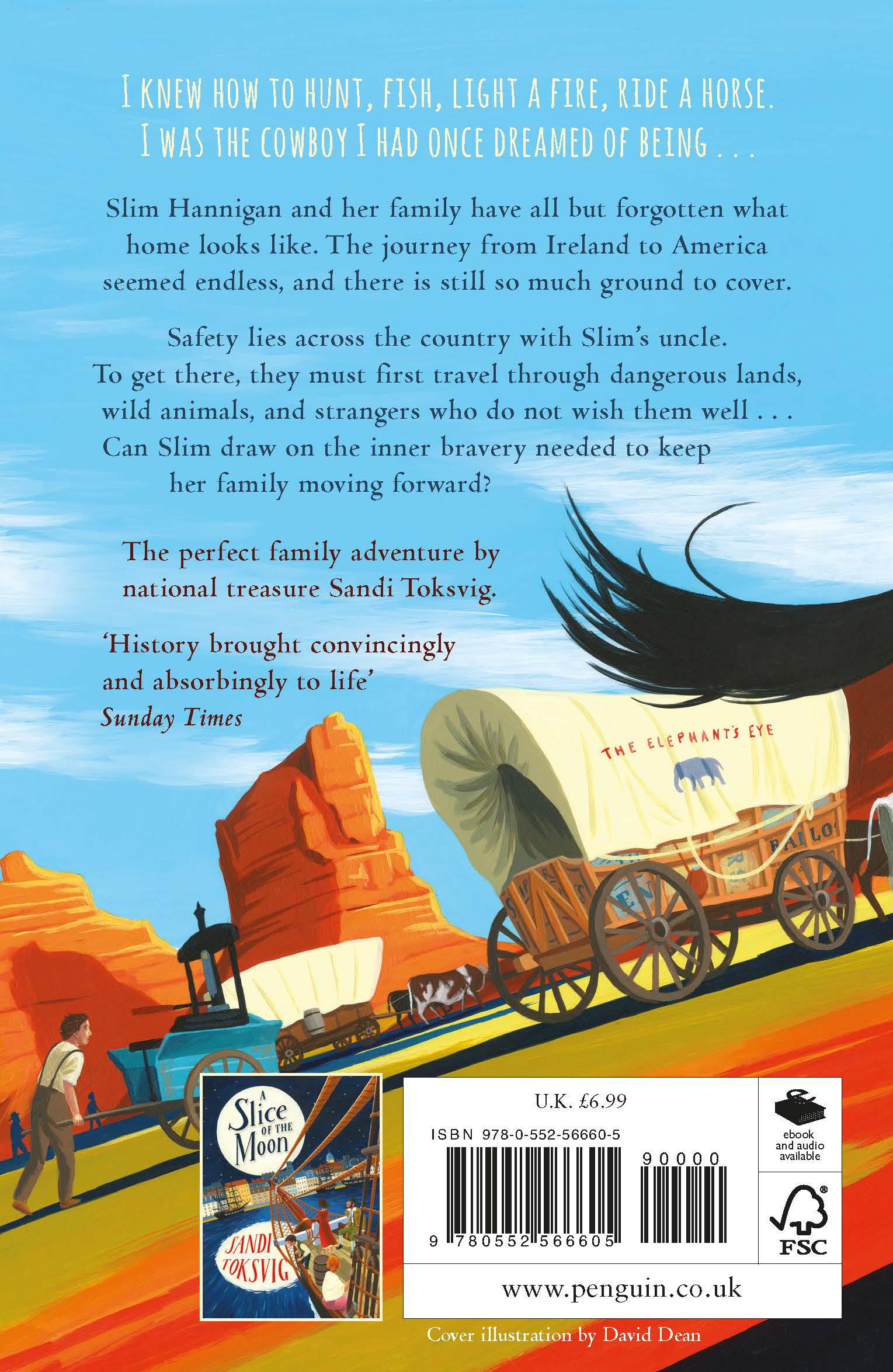 Rückseitencover The End of the Sky