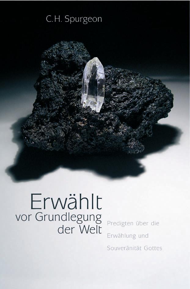 Vorderes Coverbild Erwählt vor Grundlegung der Welt